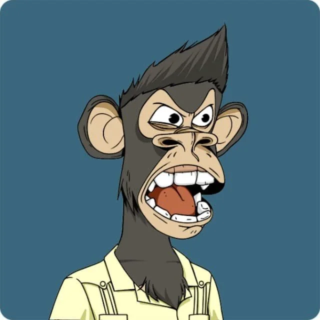 492f8174ba09-Ori_APE__1_.jpg