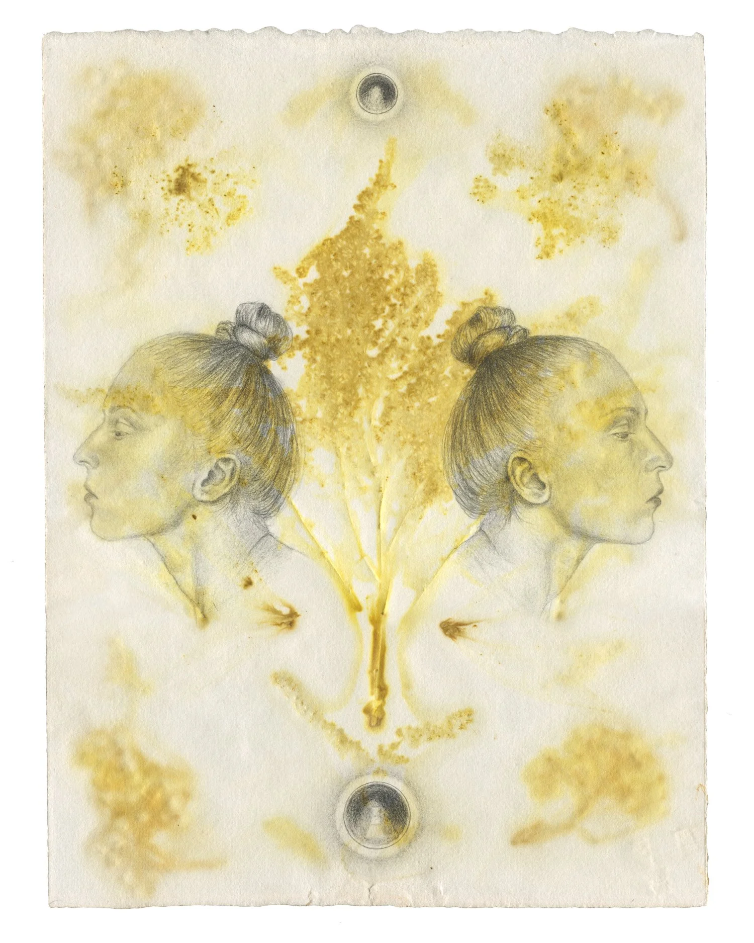 Lisa Saeboe_Whispers from Below the Mountain.jpg