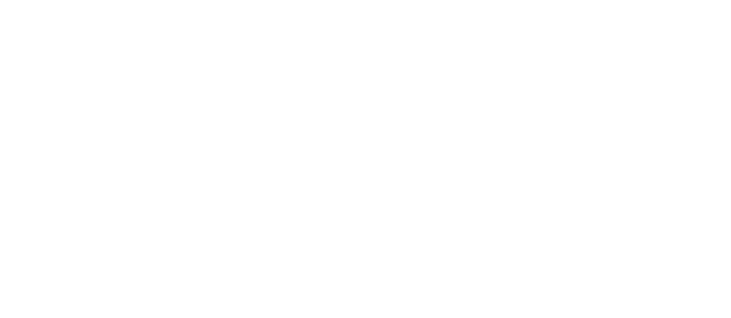 3 Big Things