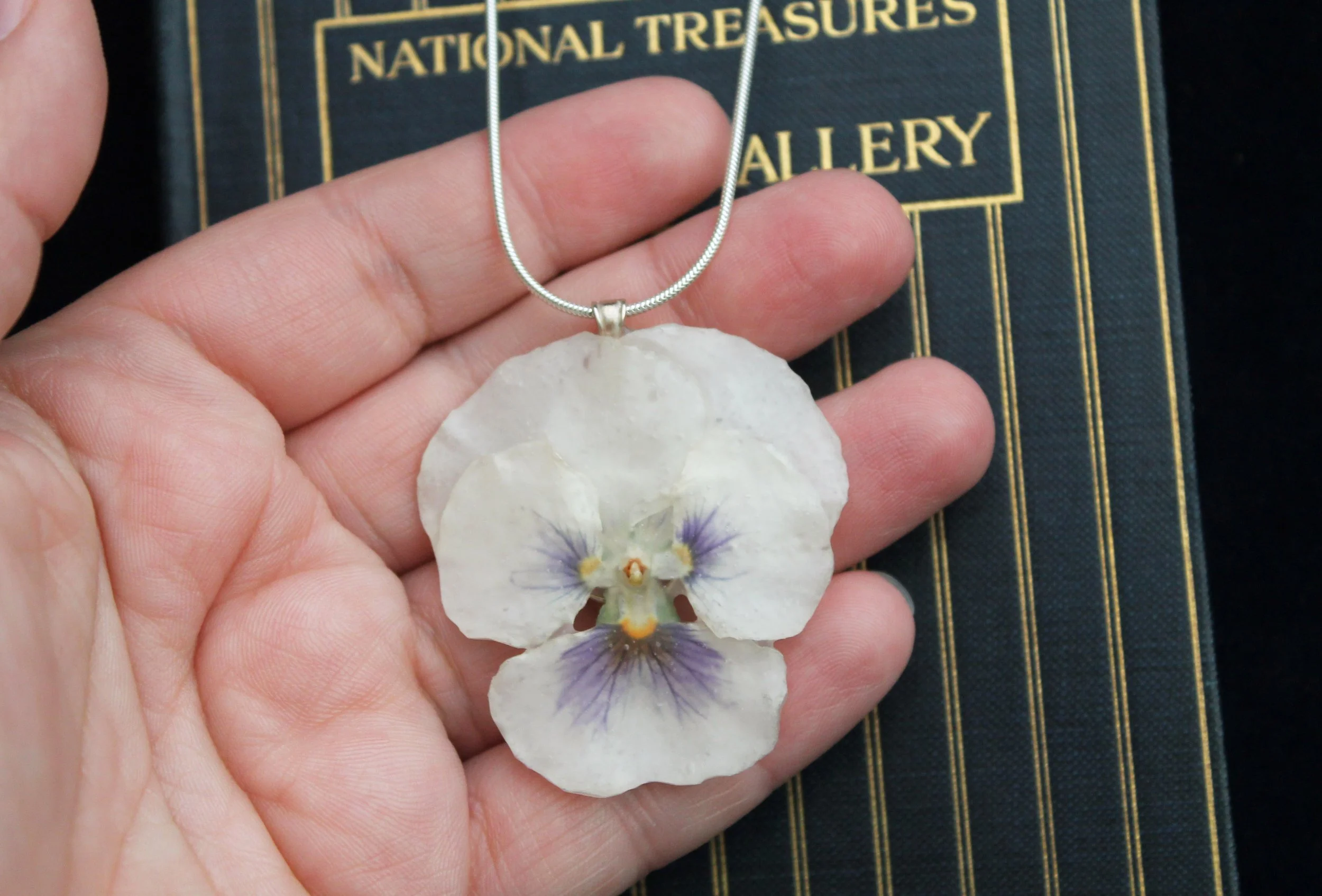 Large white pansy 4.jpg