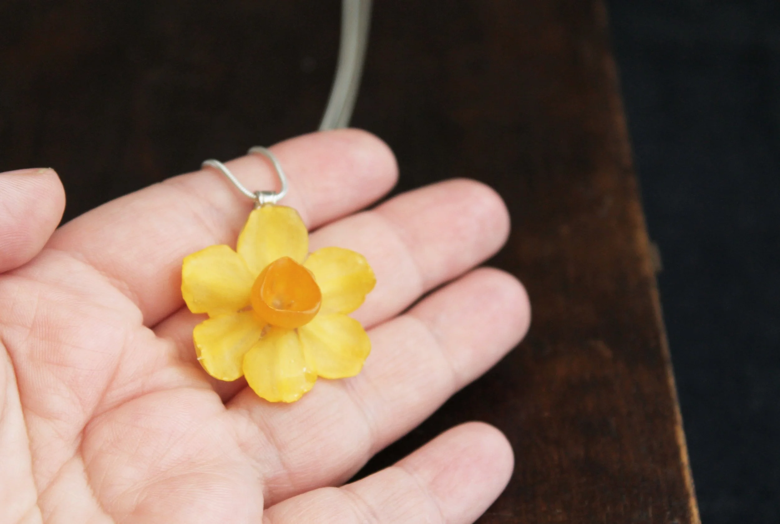 Miniature Daffodil in Hand.jpg