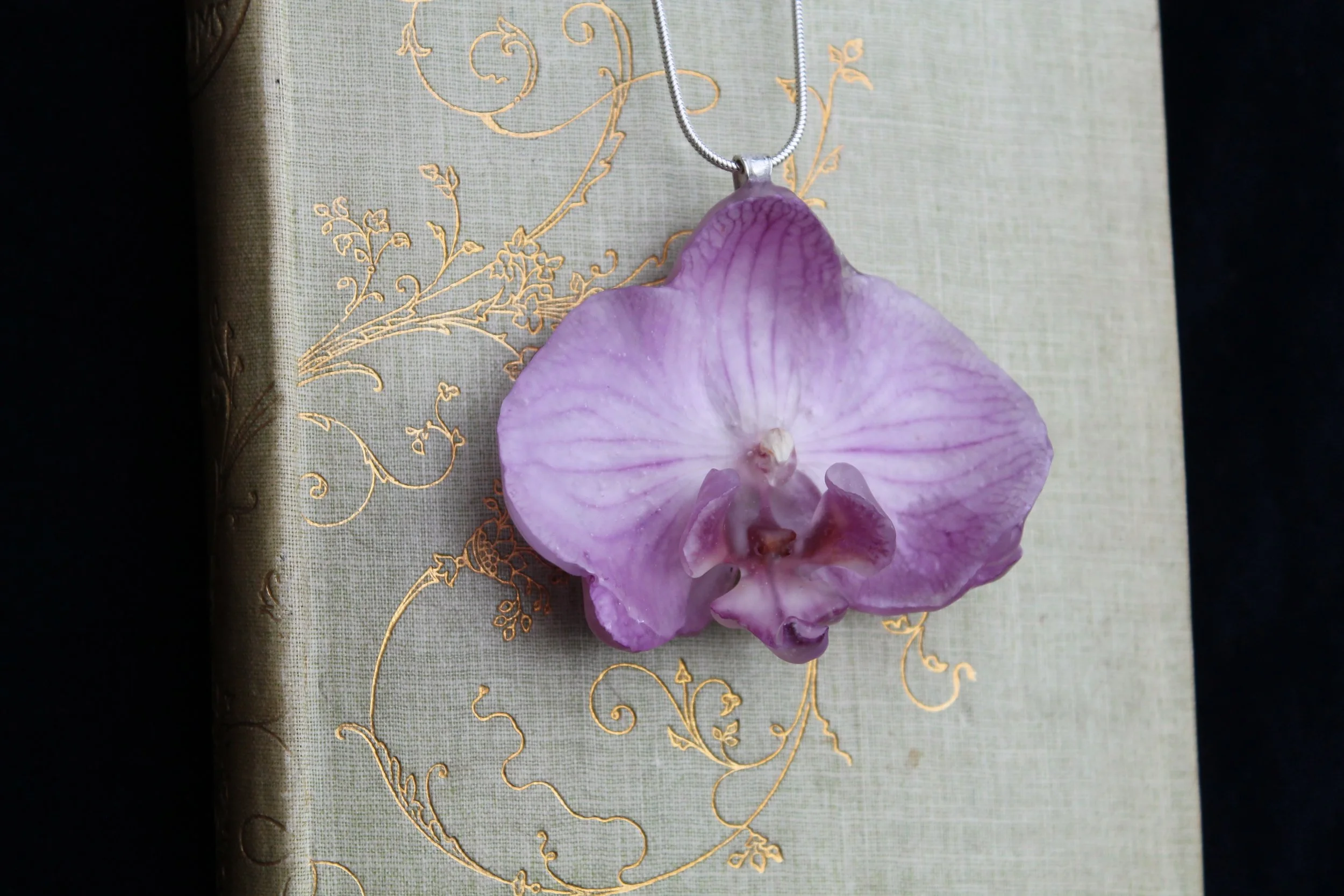 Orchid on book 2.JPG