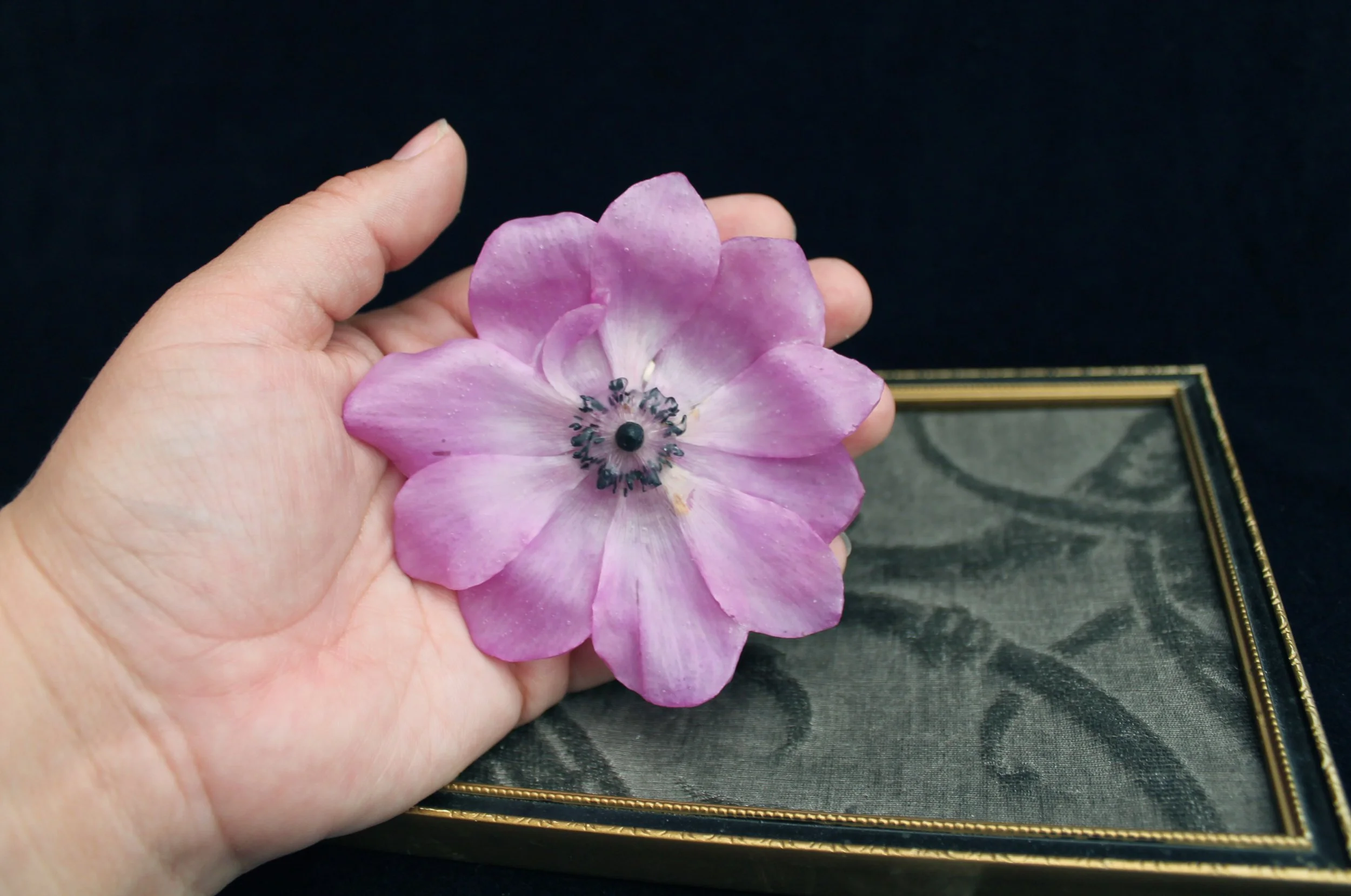 Large Pink Anemone Brooch 4.jpg