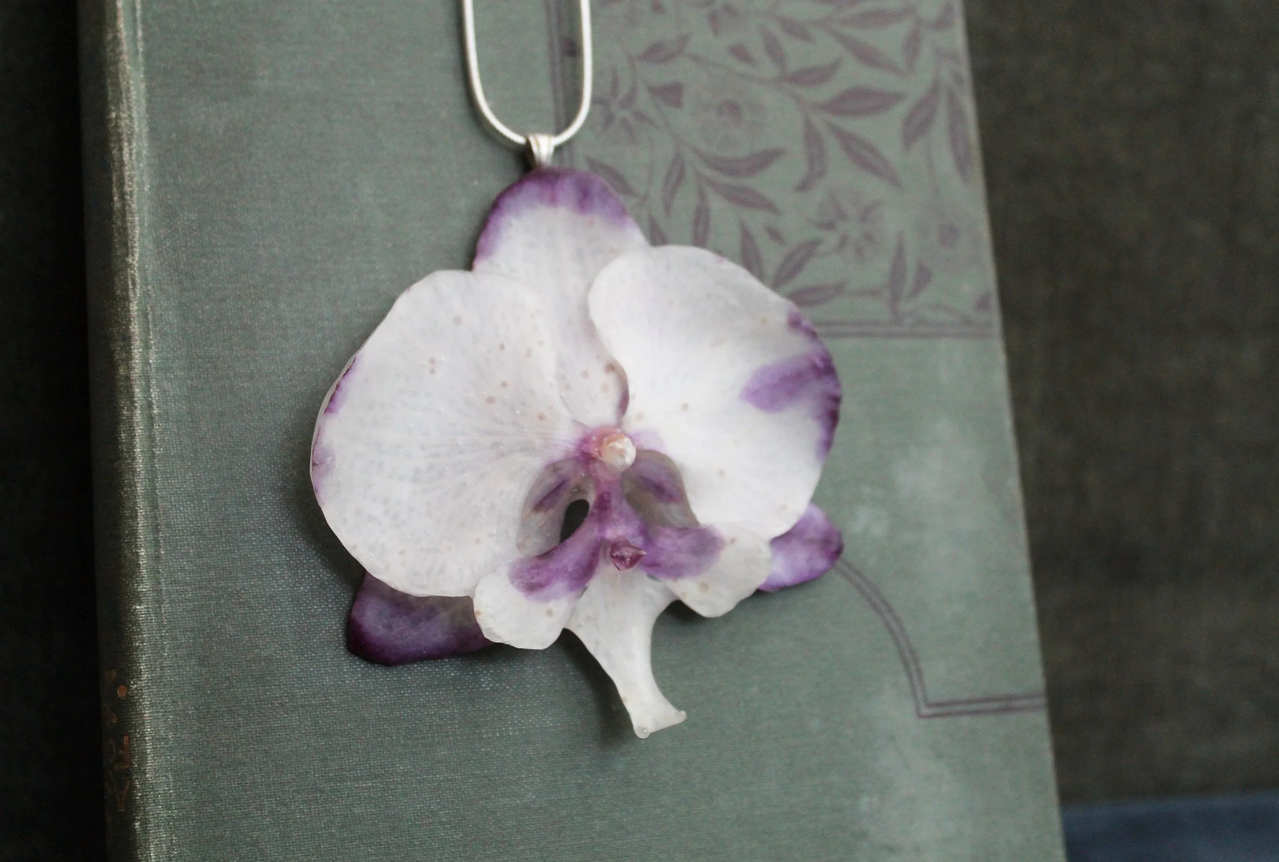 White and Pink Orchid on Book 3.jpg