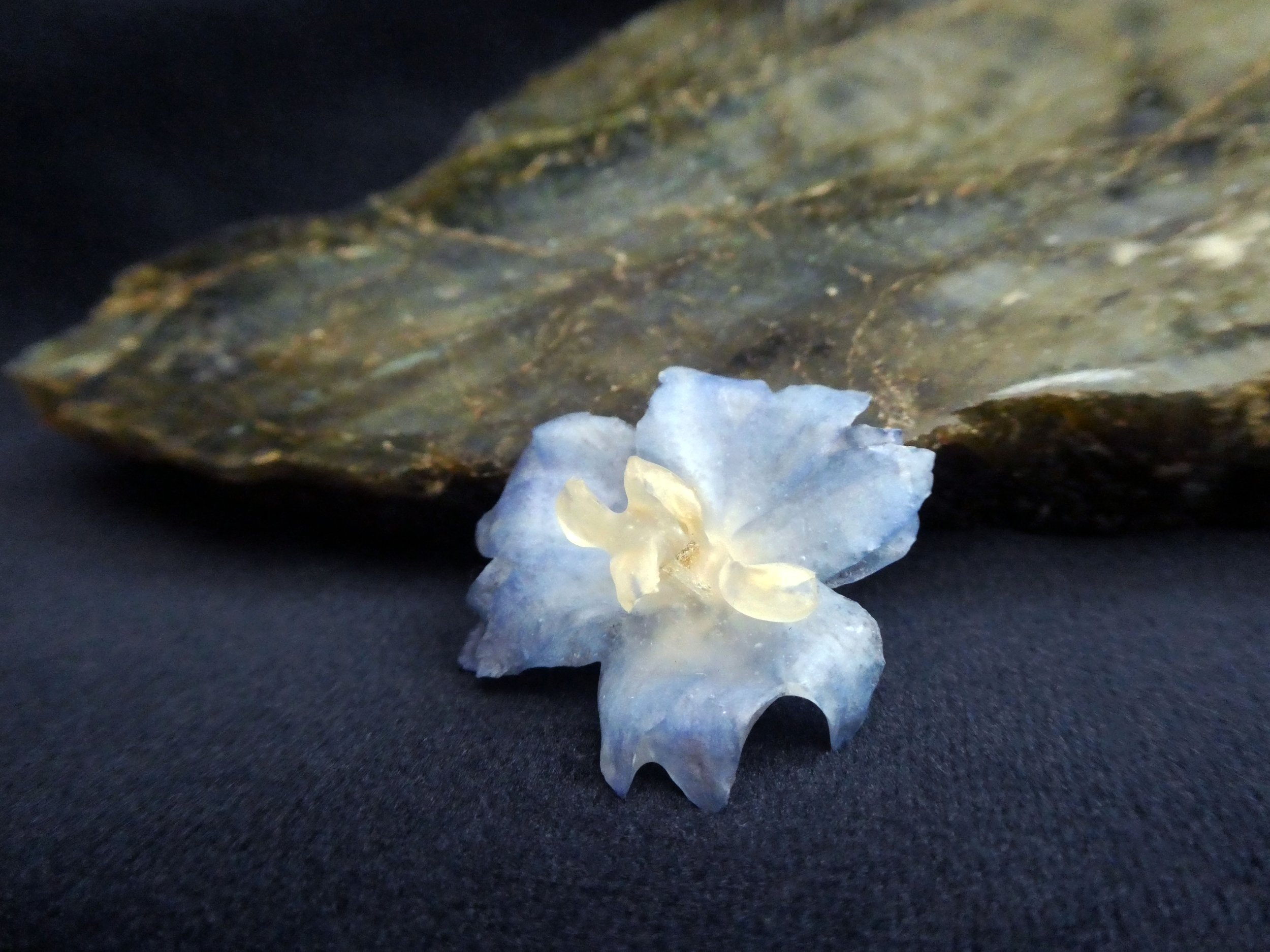 delphinium detail shot copy.jpg