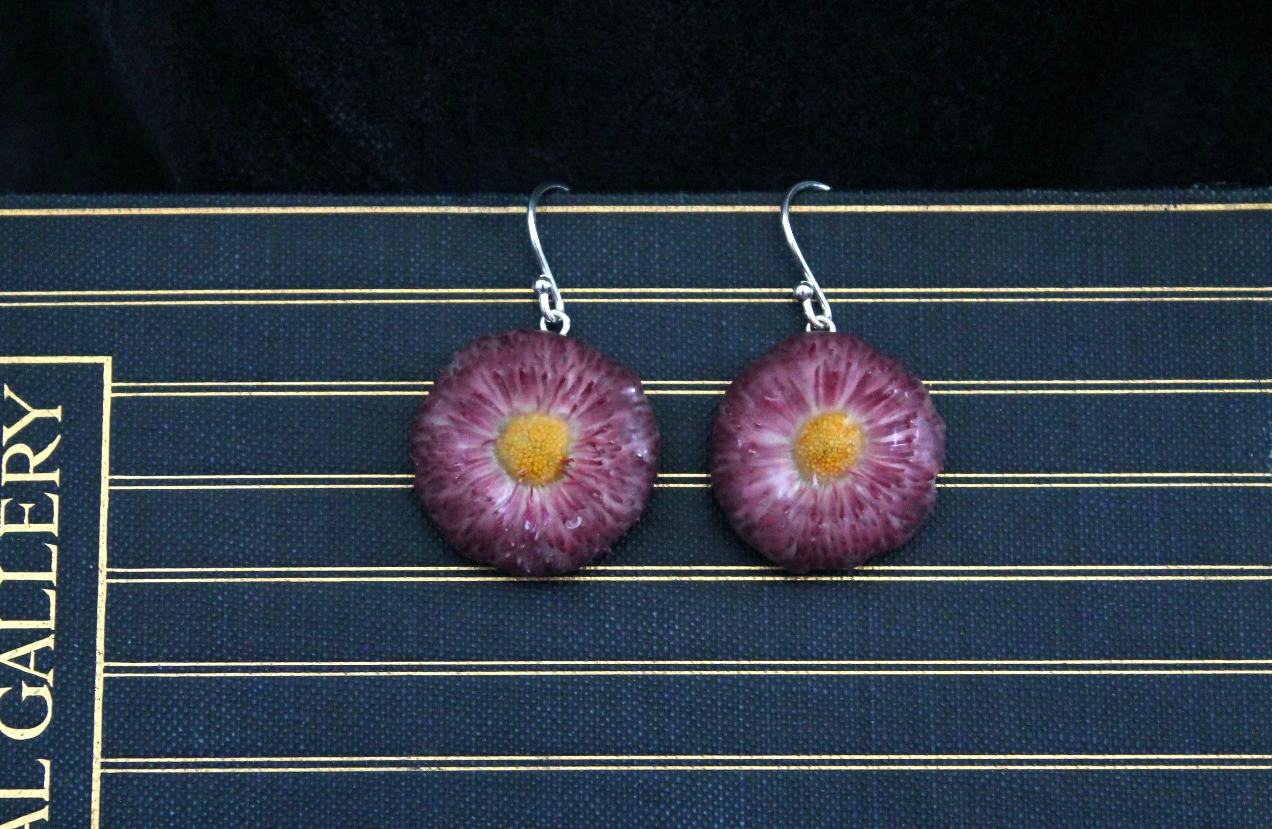 Pink Bellis Daisy earrings 1.jpg