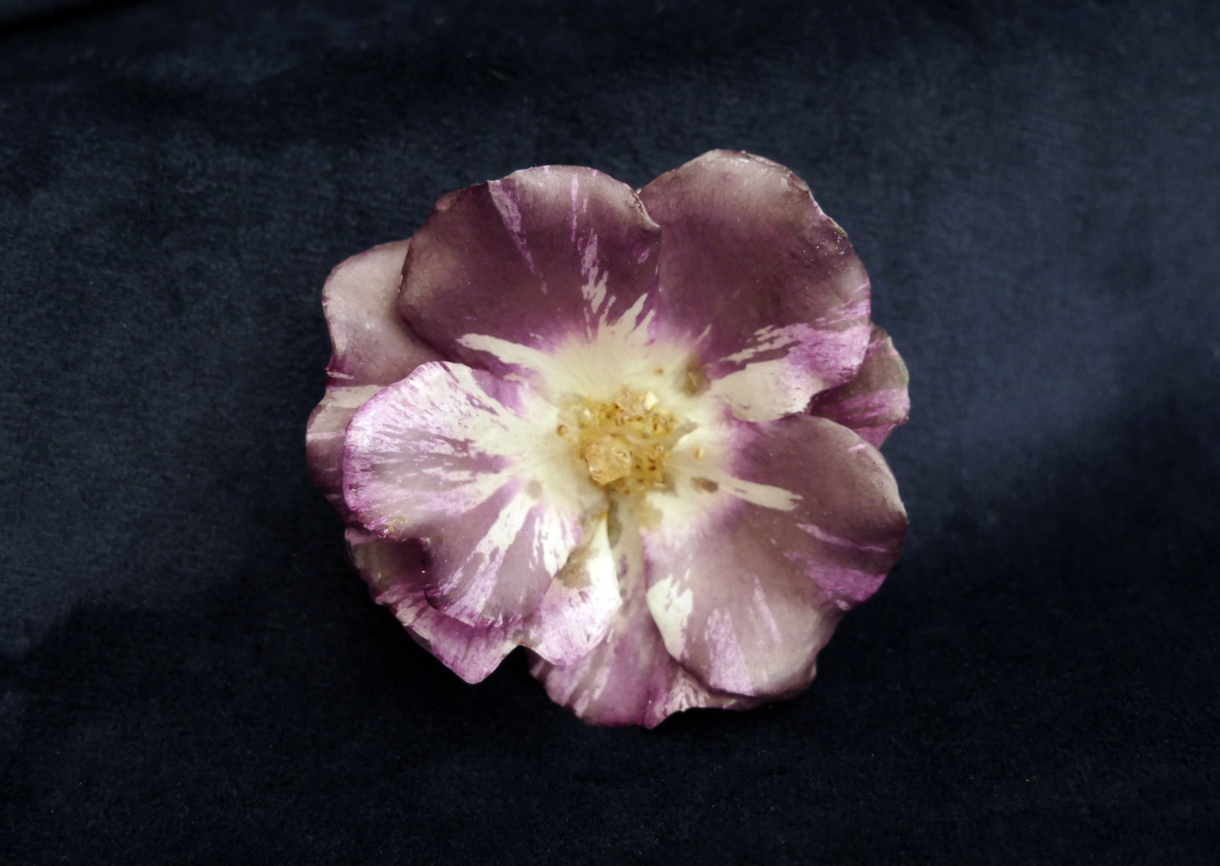 Rose brooch 1 .jpg