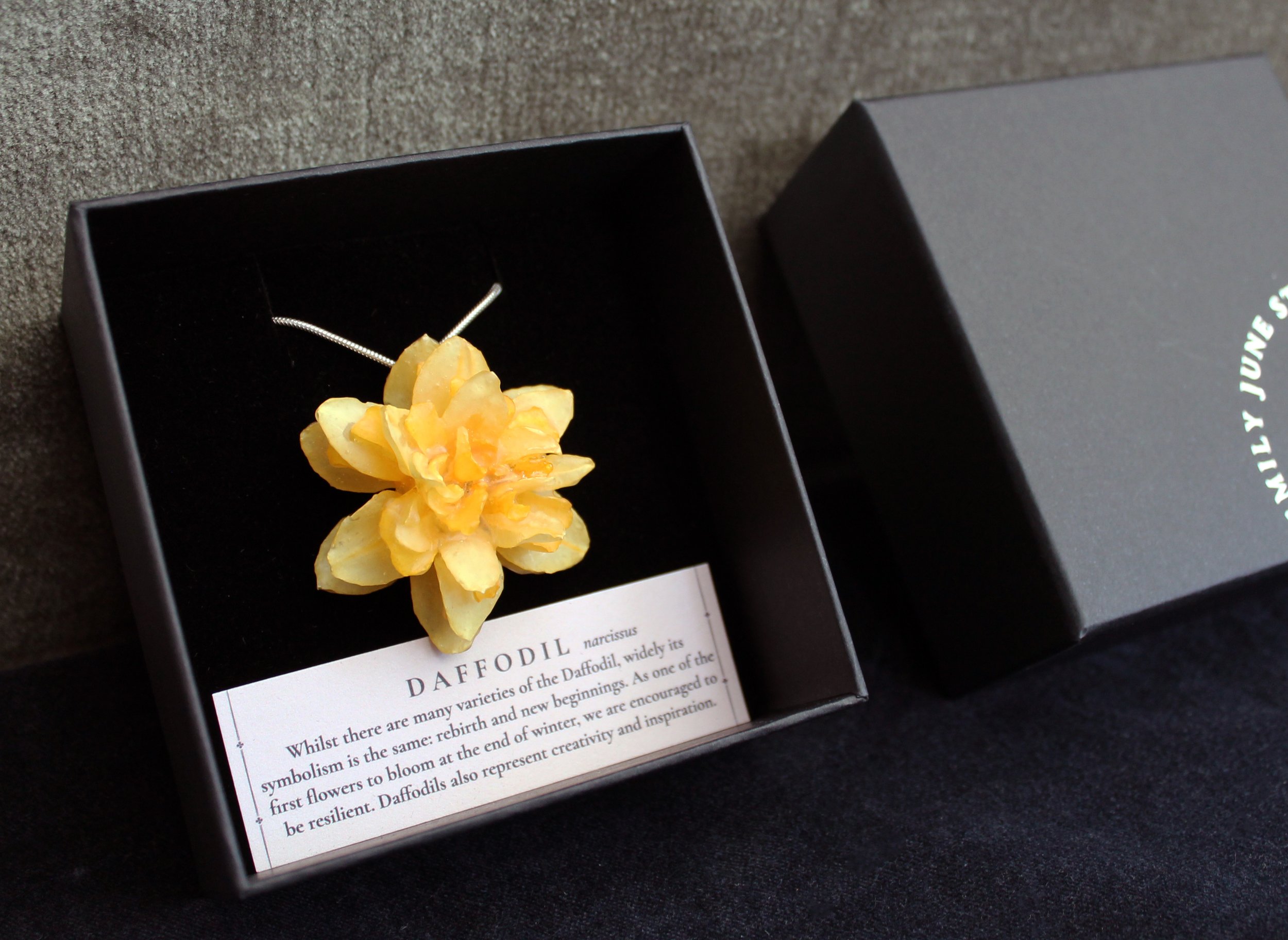 Frilly Daffodil in Box .jpg