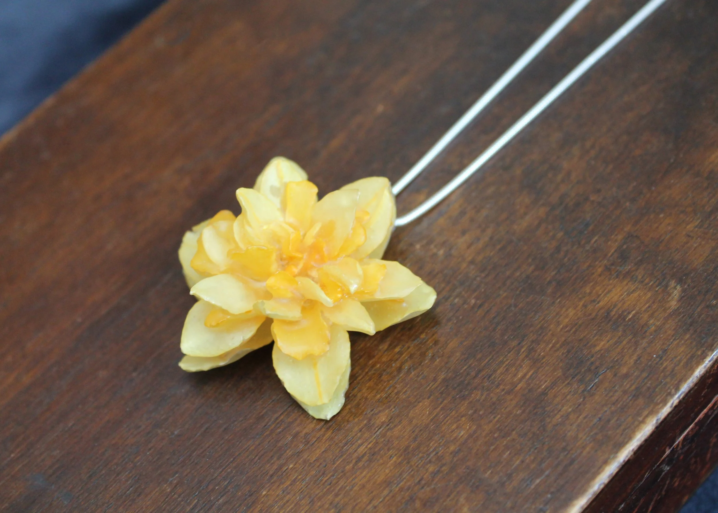 Frilly Daffodil on Box .jpg