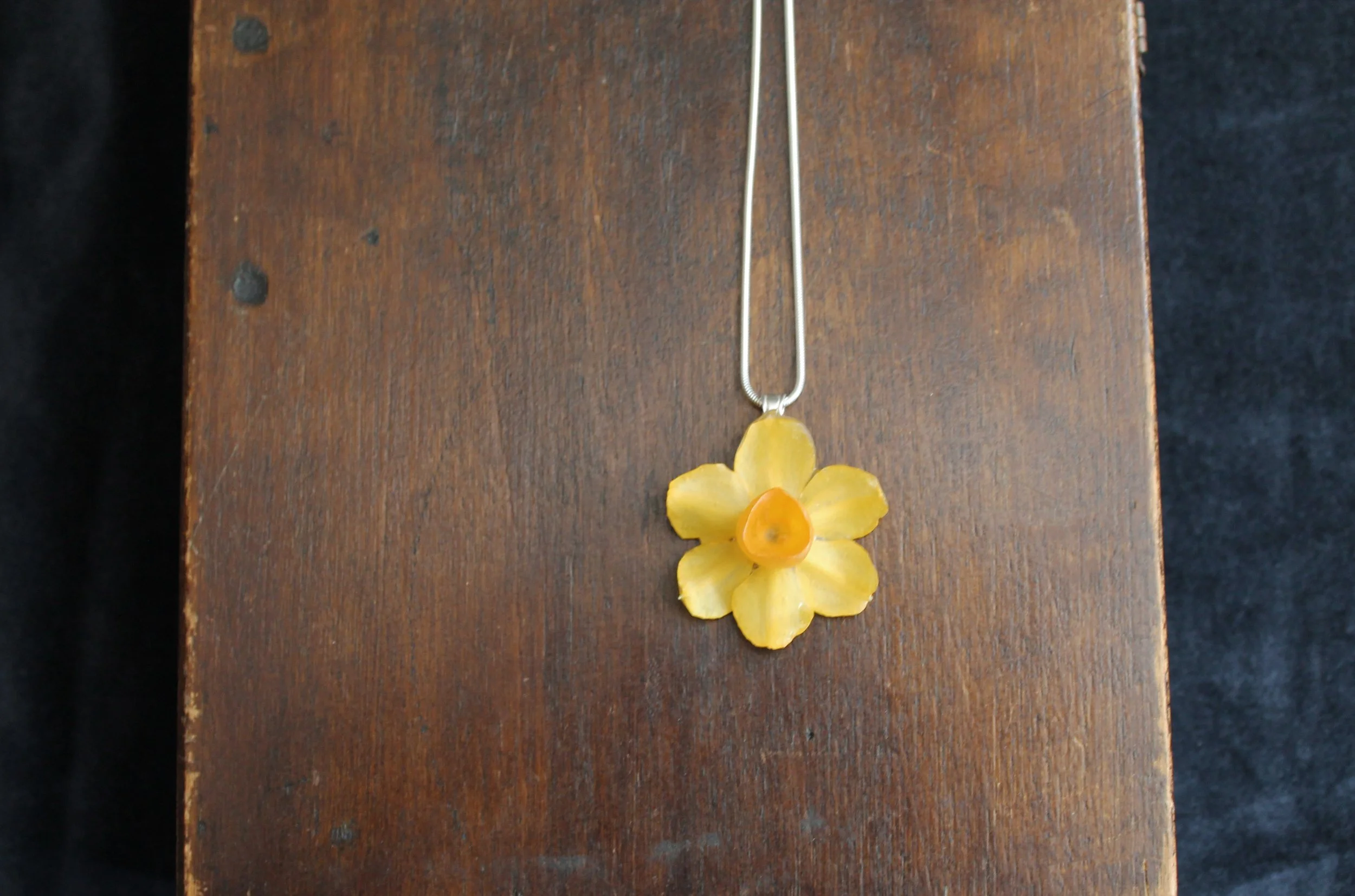 Mini Daffodil on Box.jpg