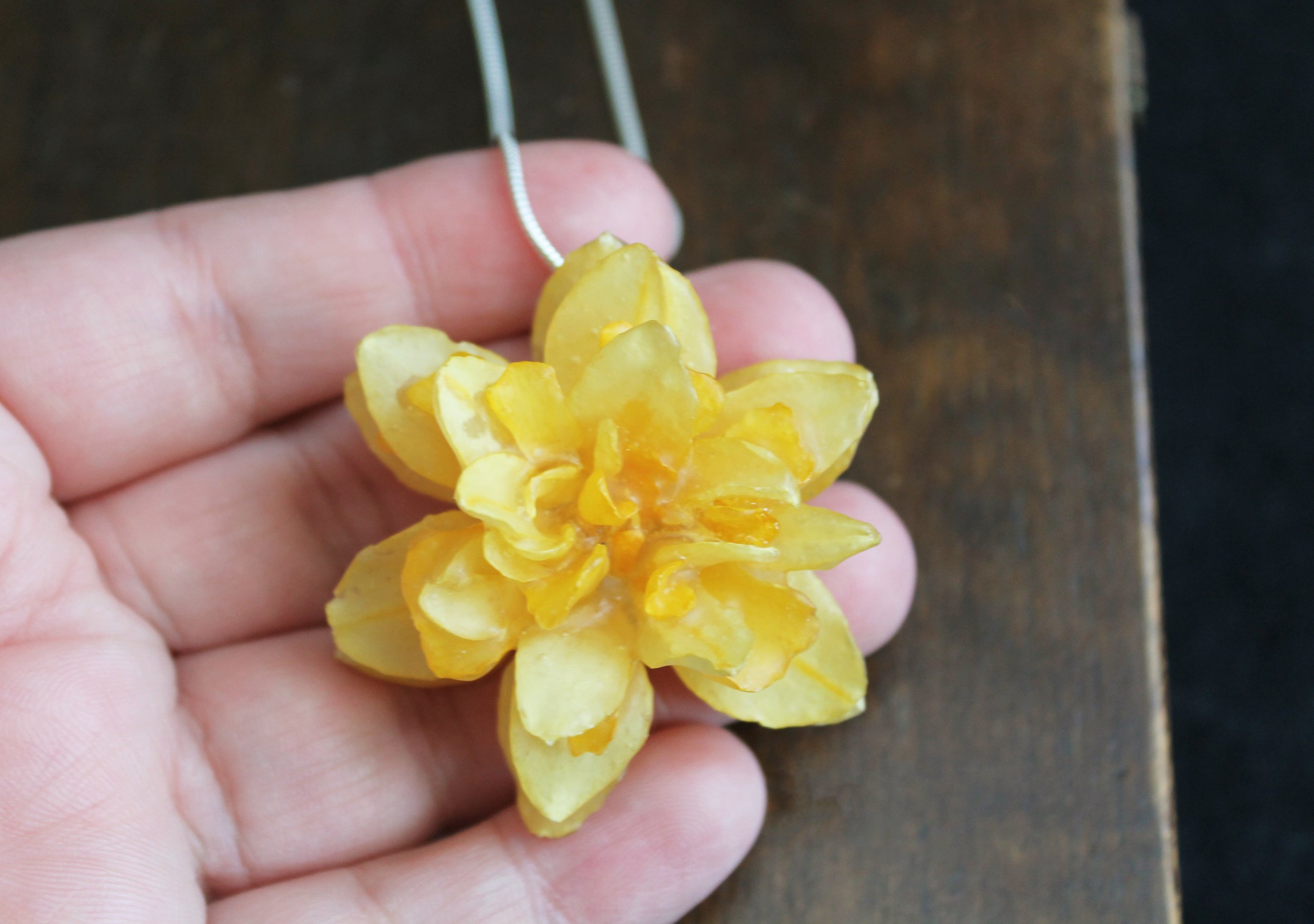 Frilly Daffodil in Hand.jpg