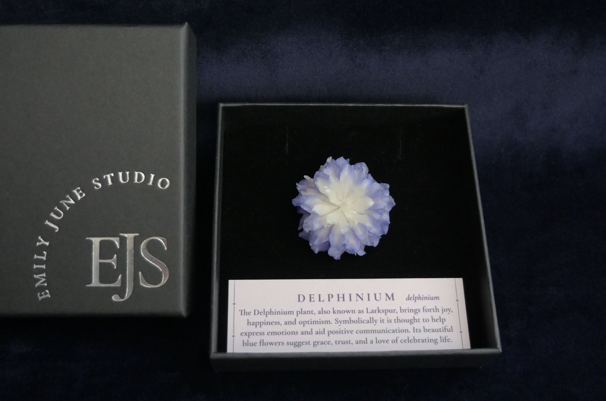 delphinium brooch in box copy.jpg