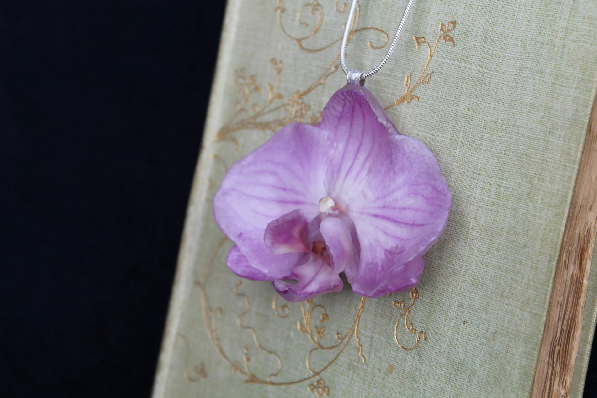 Orchid on book 3.JPG