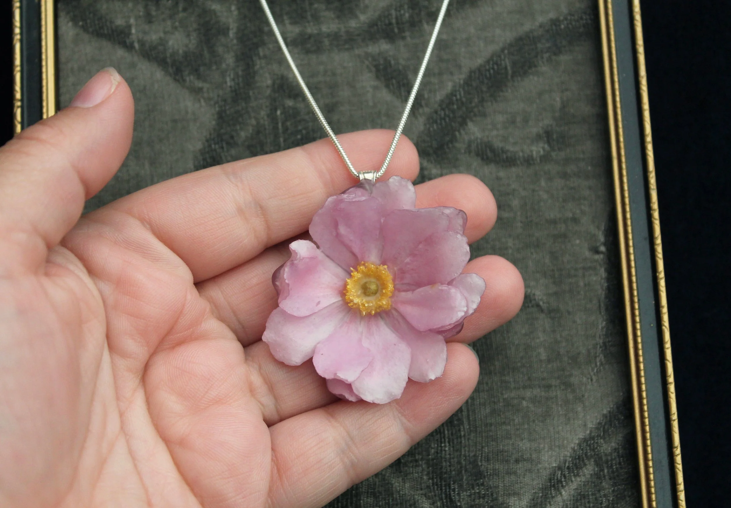 Pink Anemone in Hand 1.jpg
