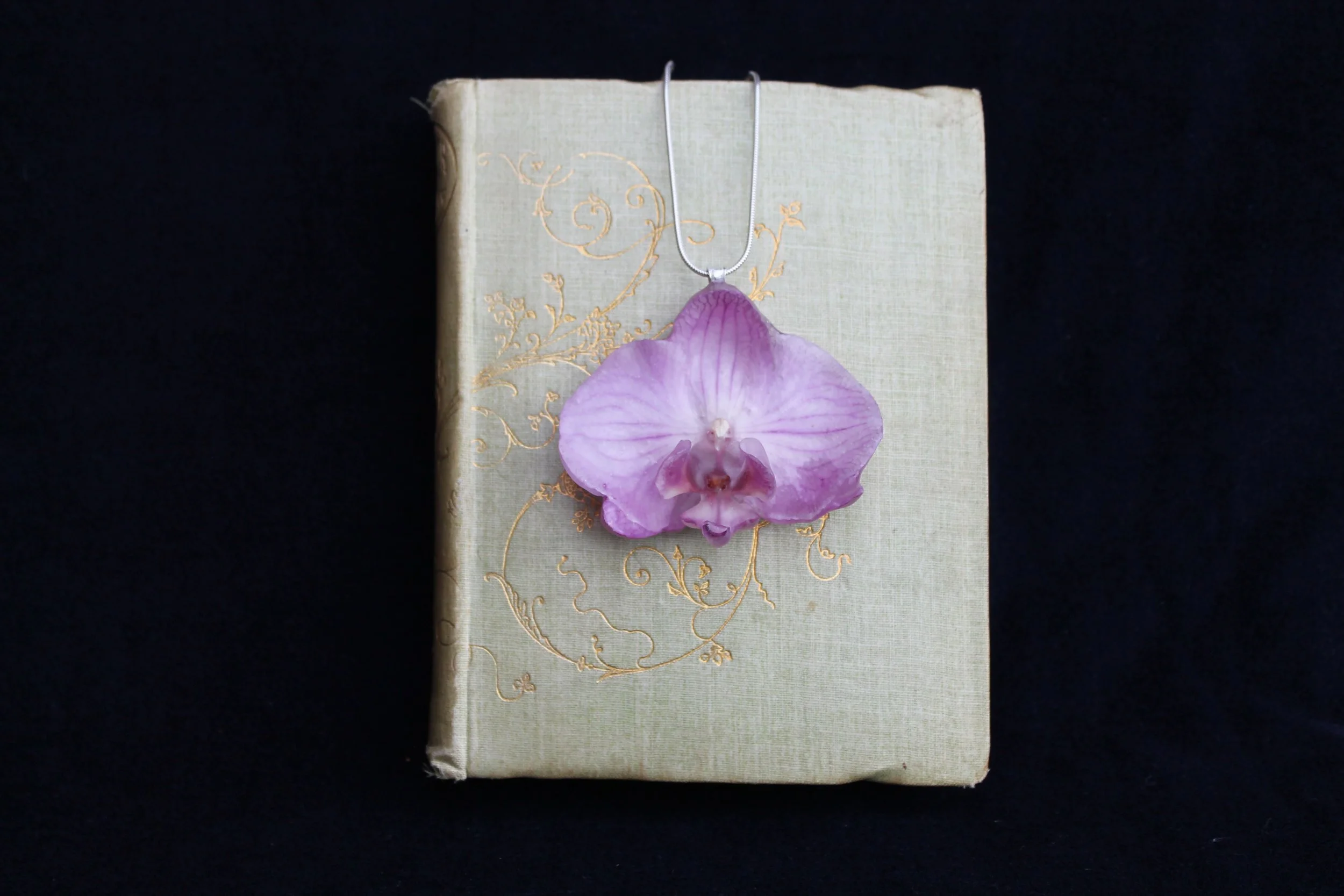 Orchid on book 1.JPG