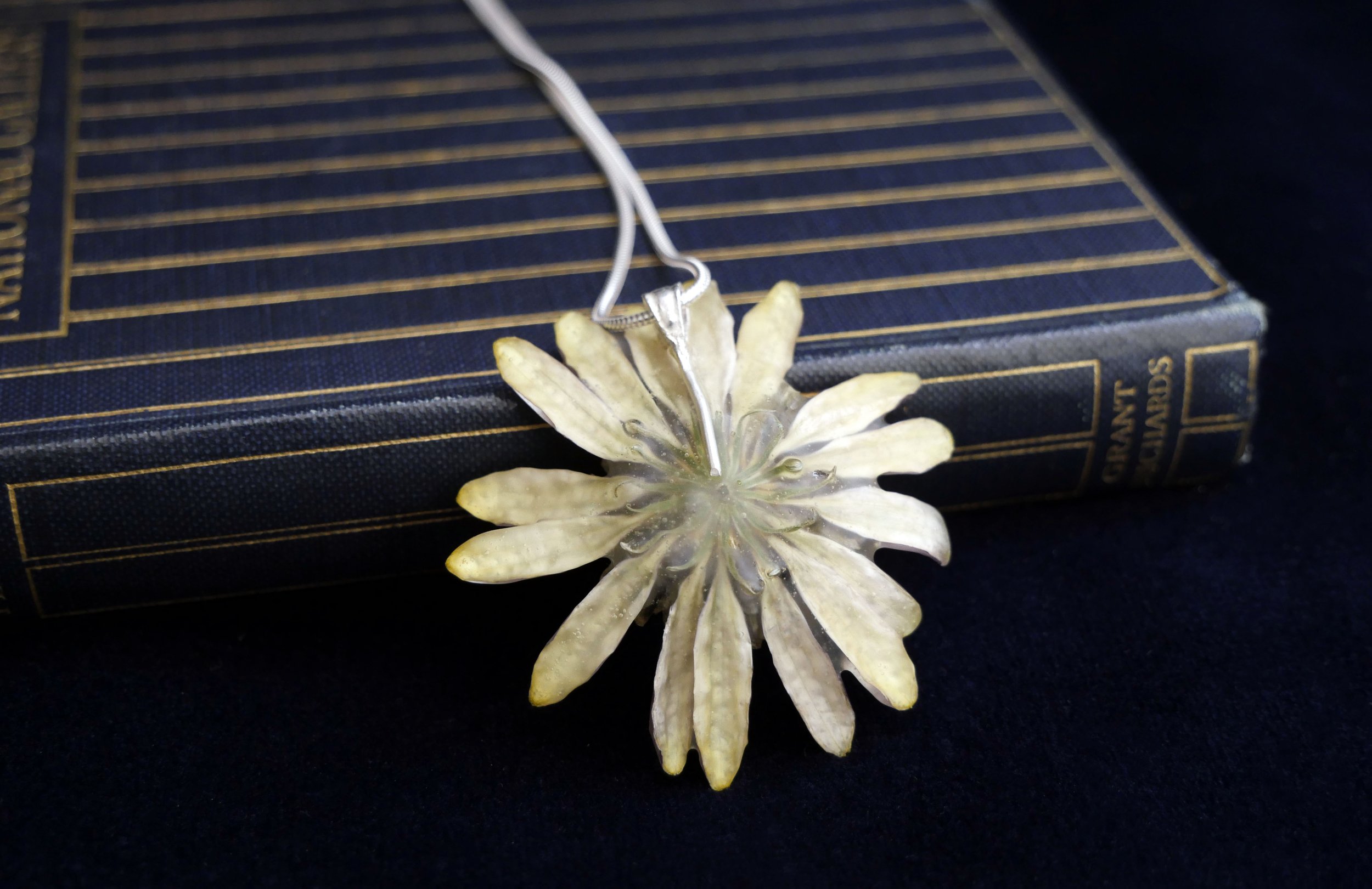 African Daisy Osteospermum Necklace Back 2 .jpg