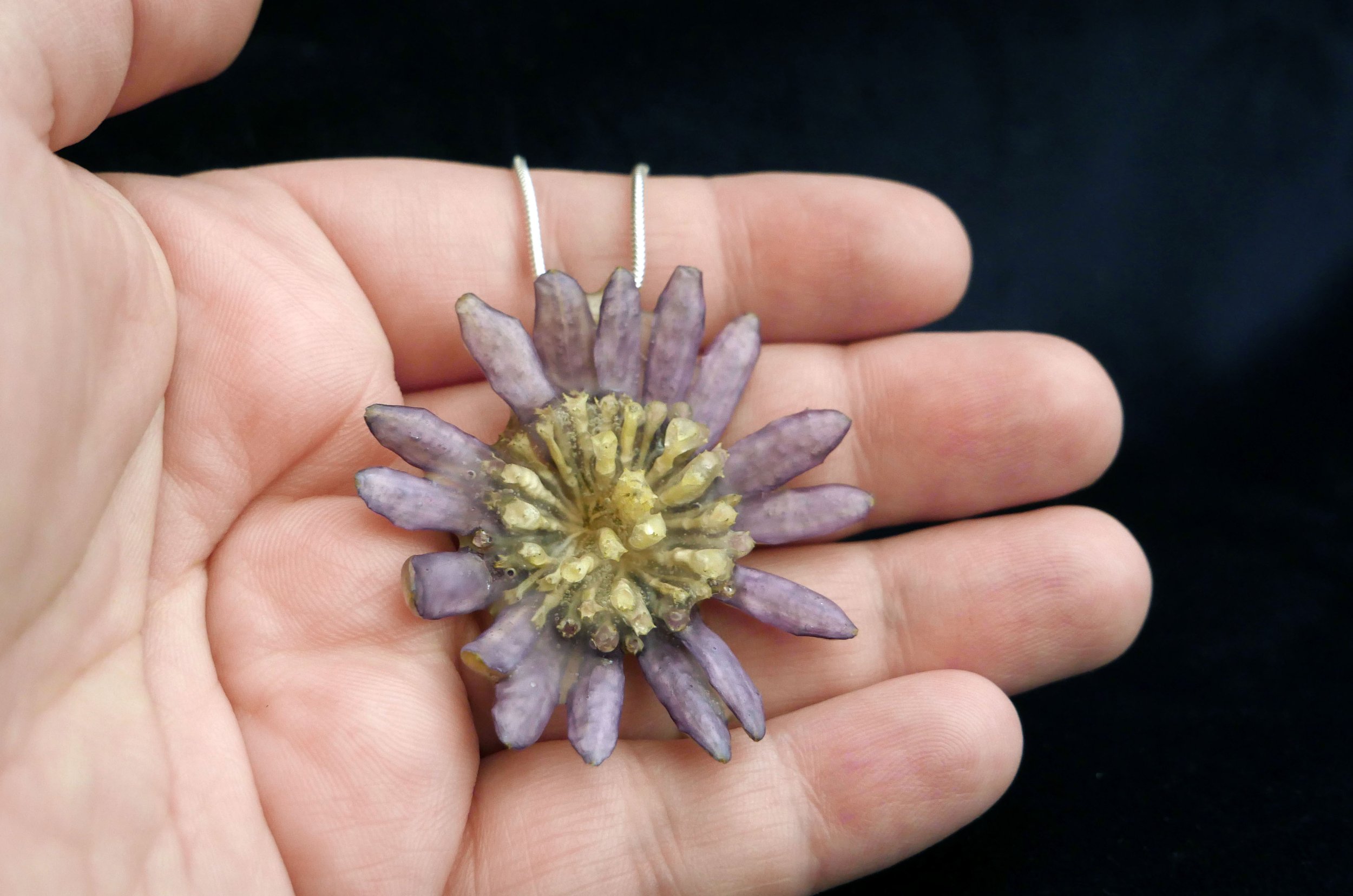 African Daisy Osteospermum Necklace on Hand 3 .jpg