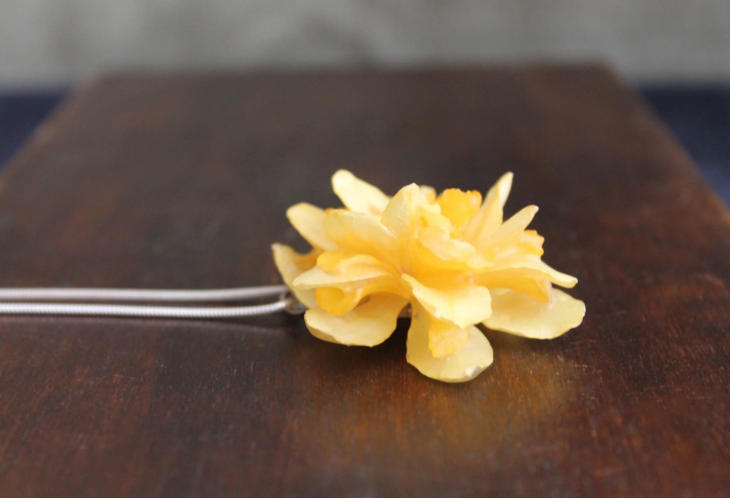 Frilly Daffodil side view.jpg