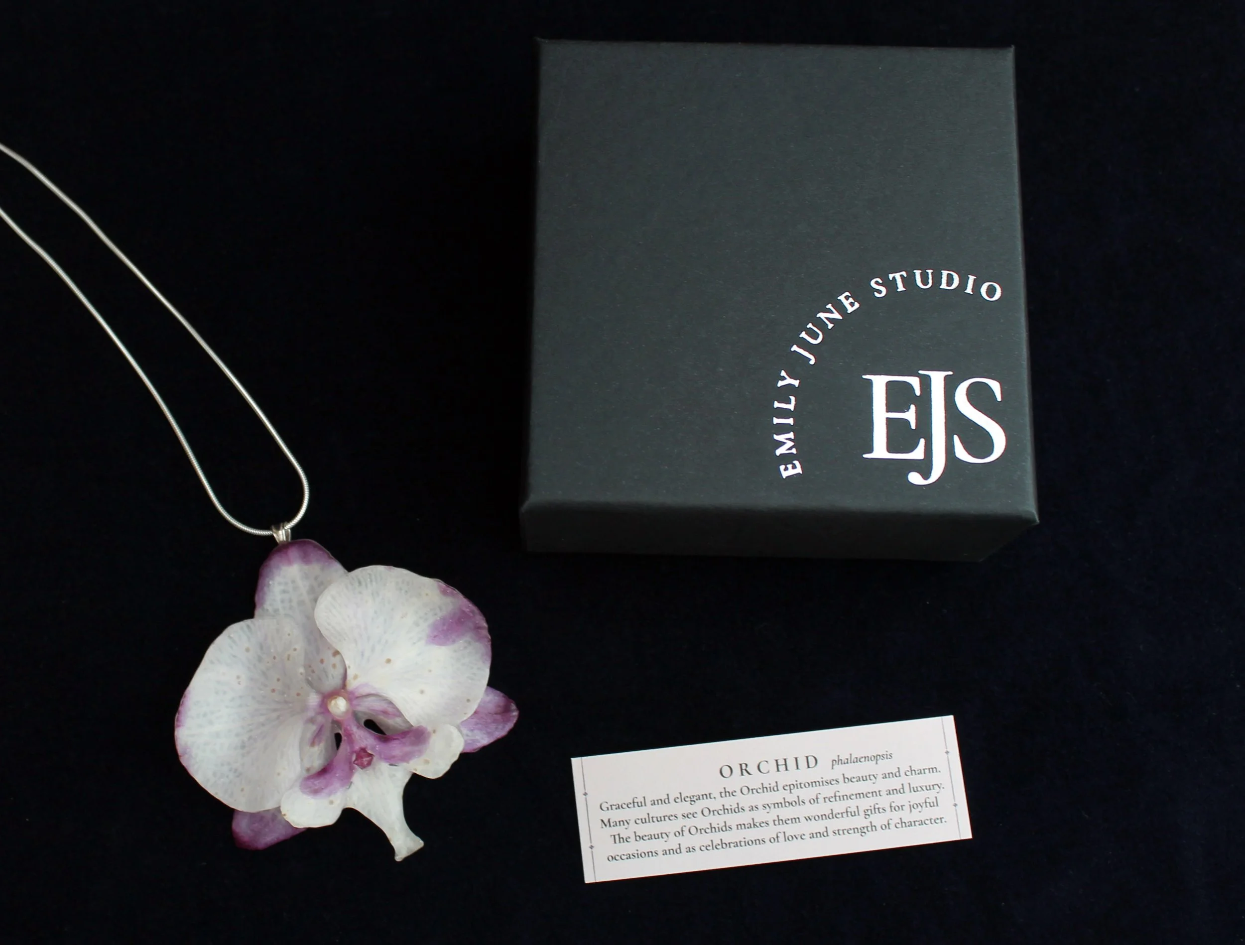 White and Pink Orchid 6.jpg