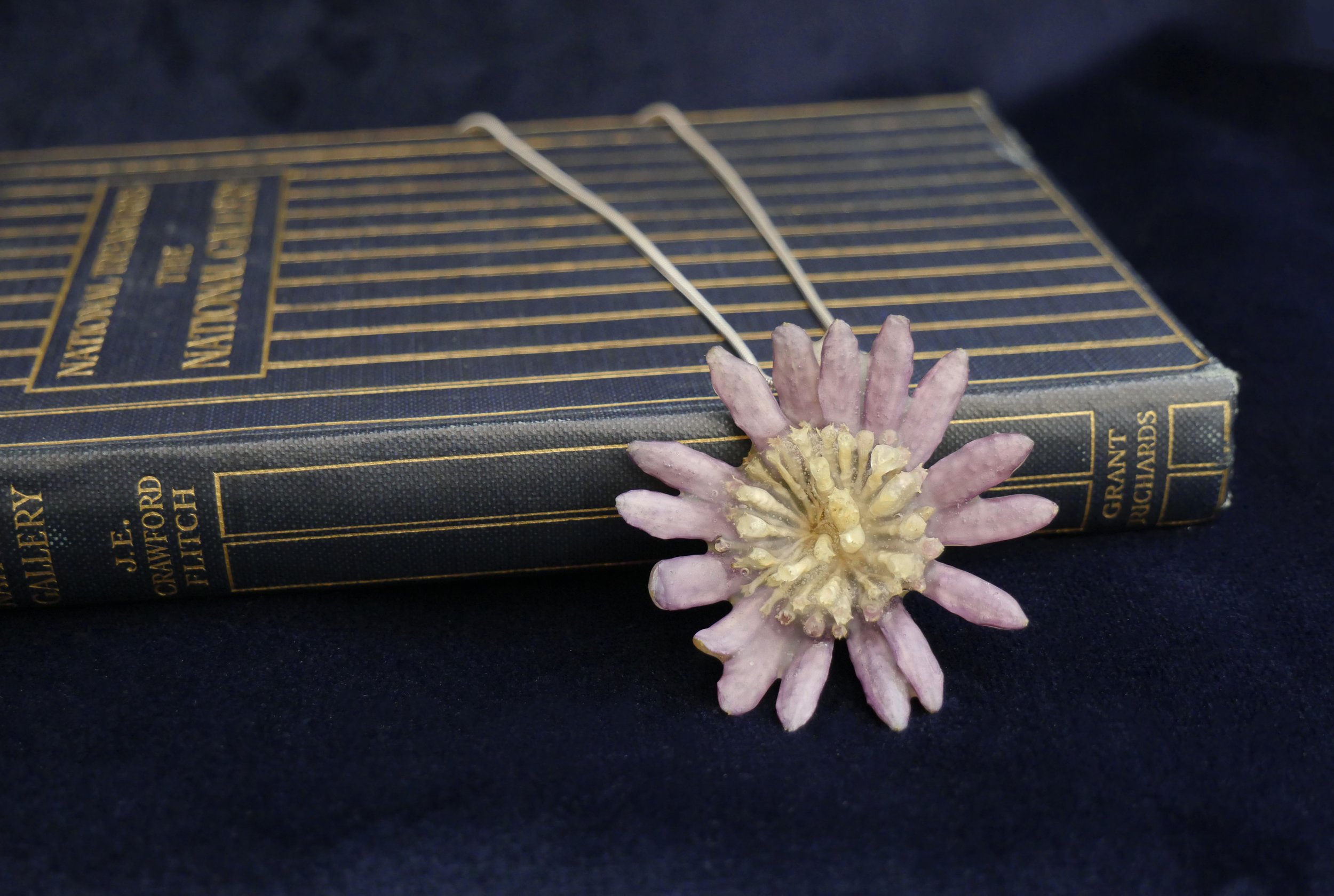 African Daisy Osteospermum Necklace 1 .jpg