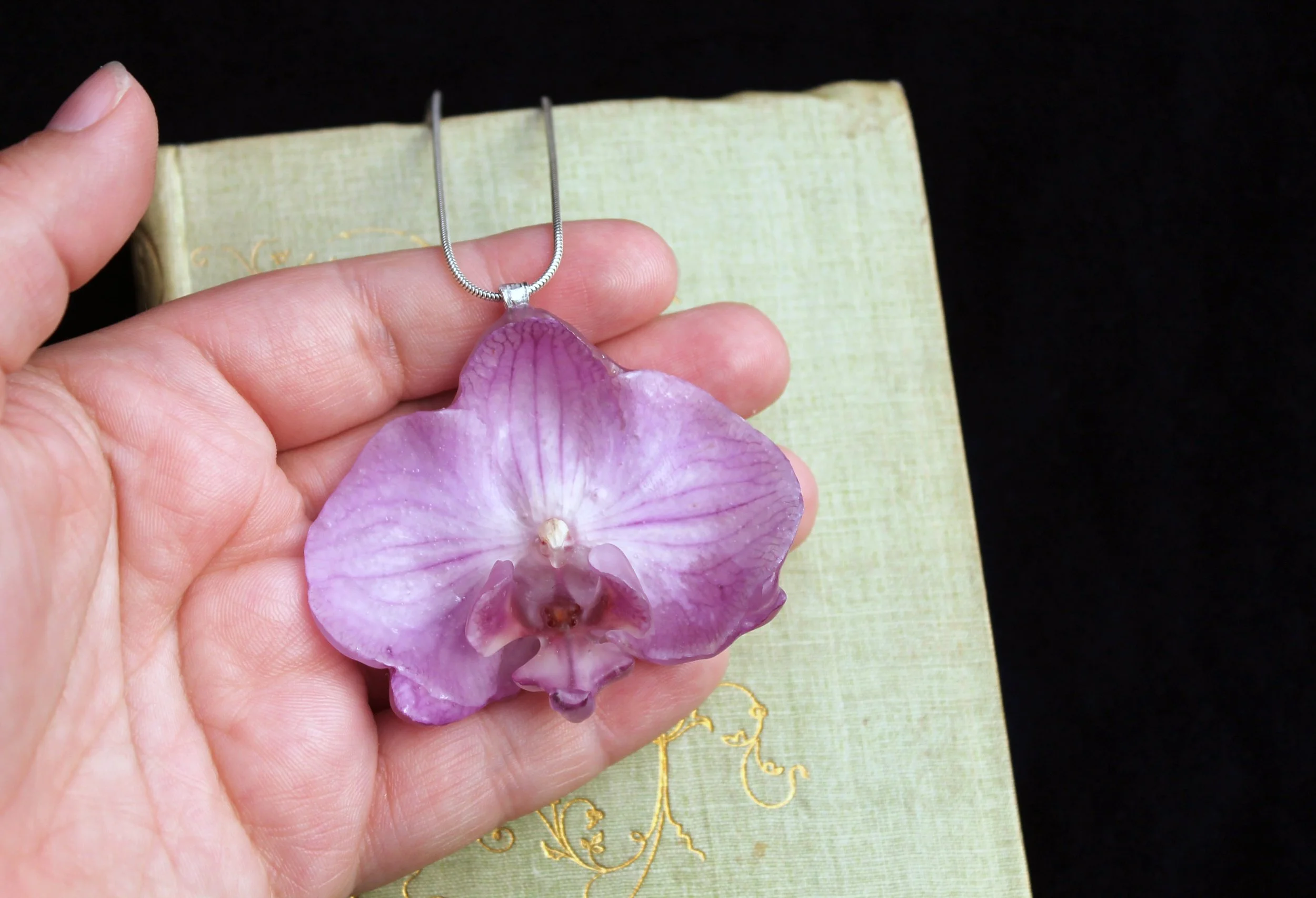 Orchid on hand with book 3.jpg