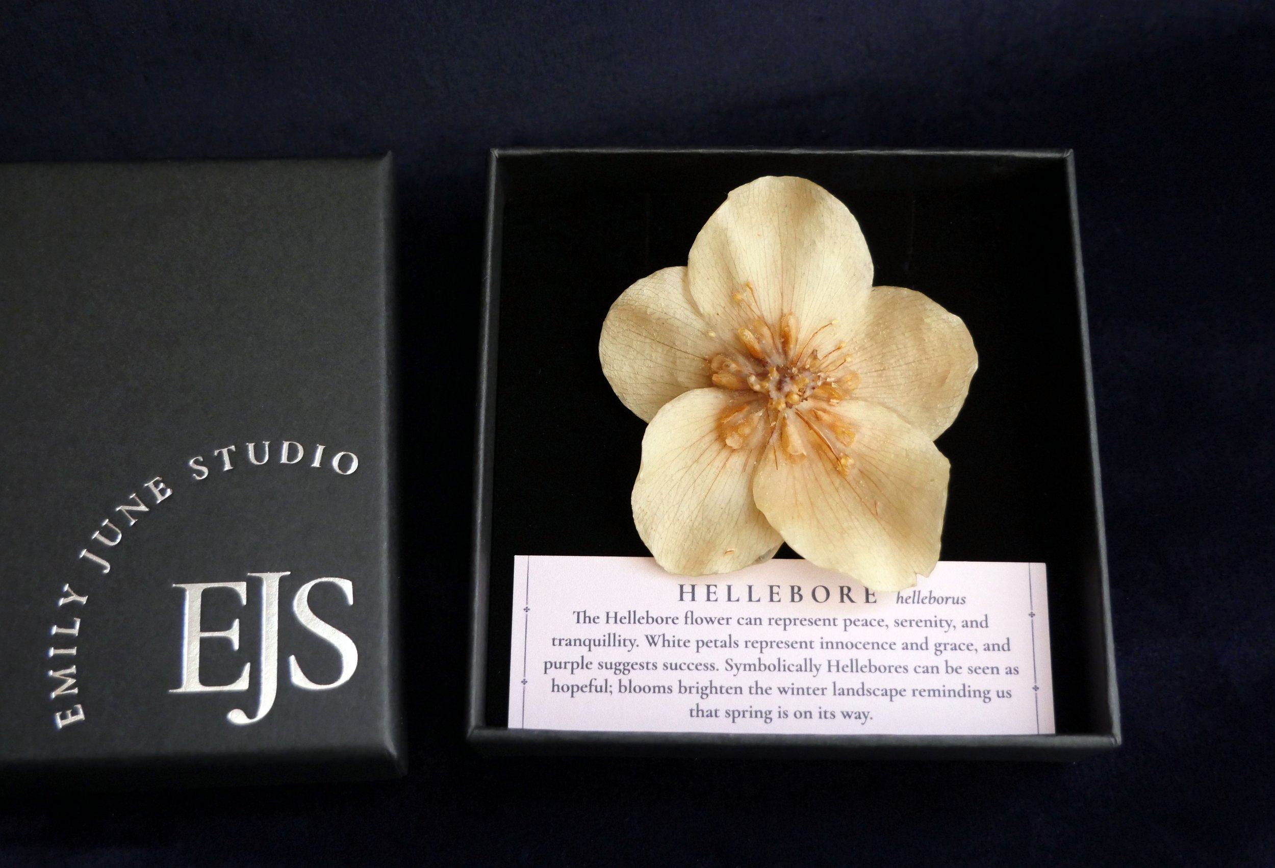 large hellebore brooch in box.jpg