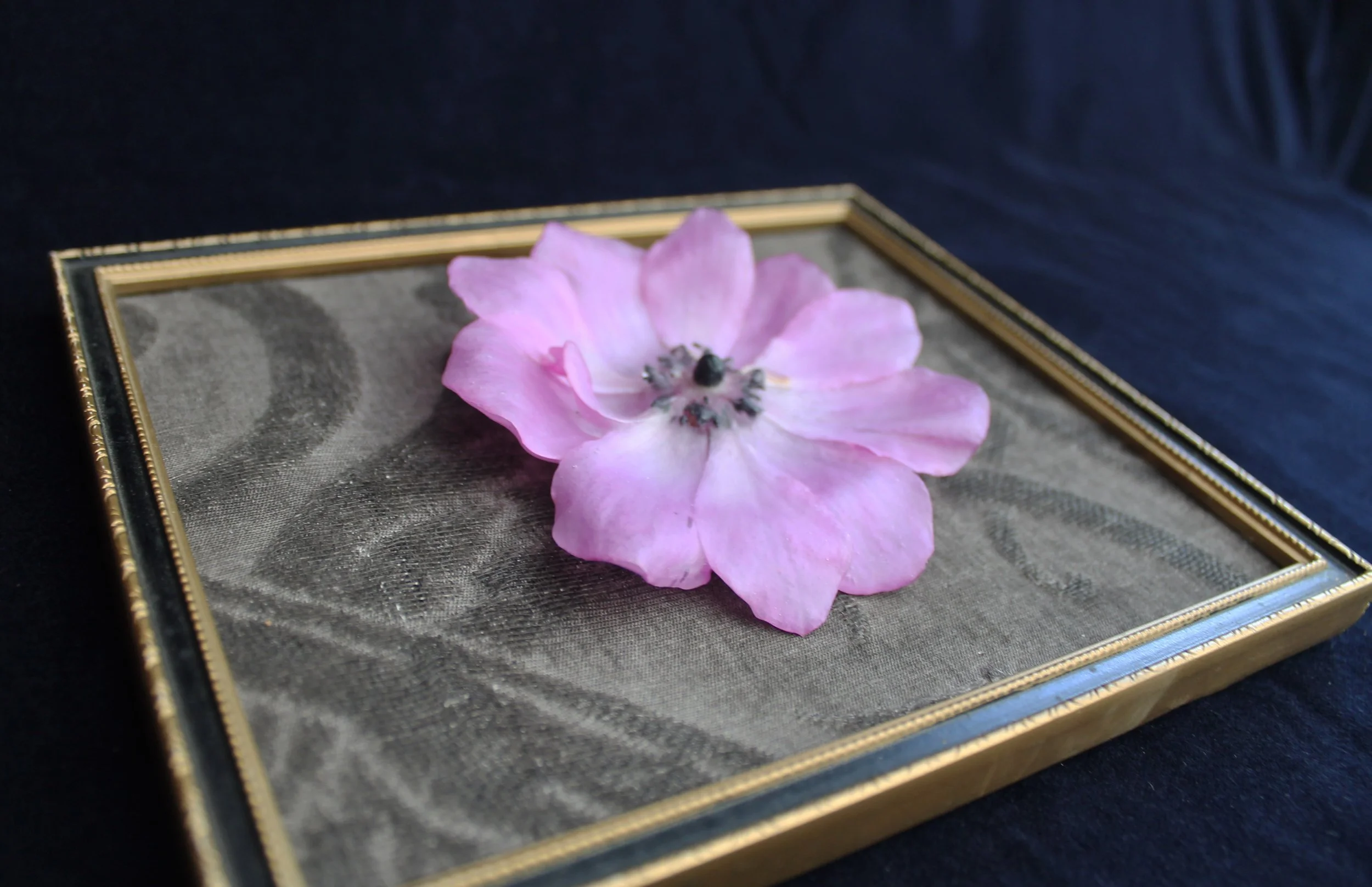 Large Pink Anemone Brooch 5.jpg