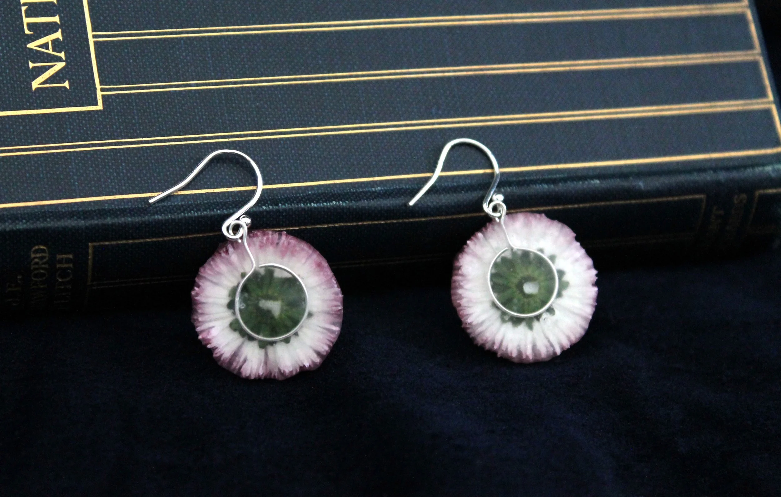 Pink Bellis Daisy earrings 3.jpg