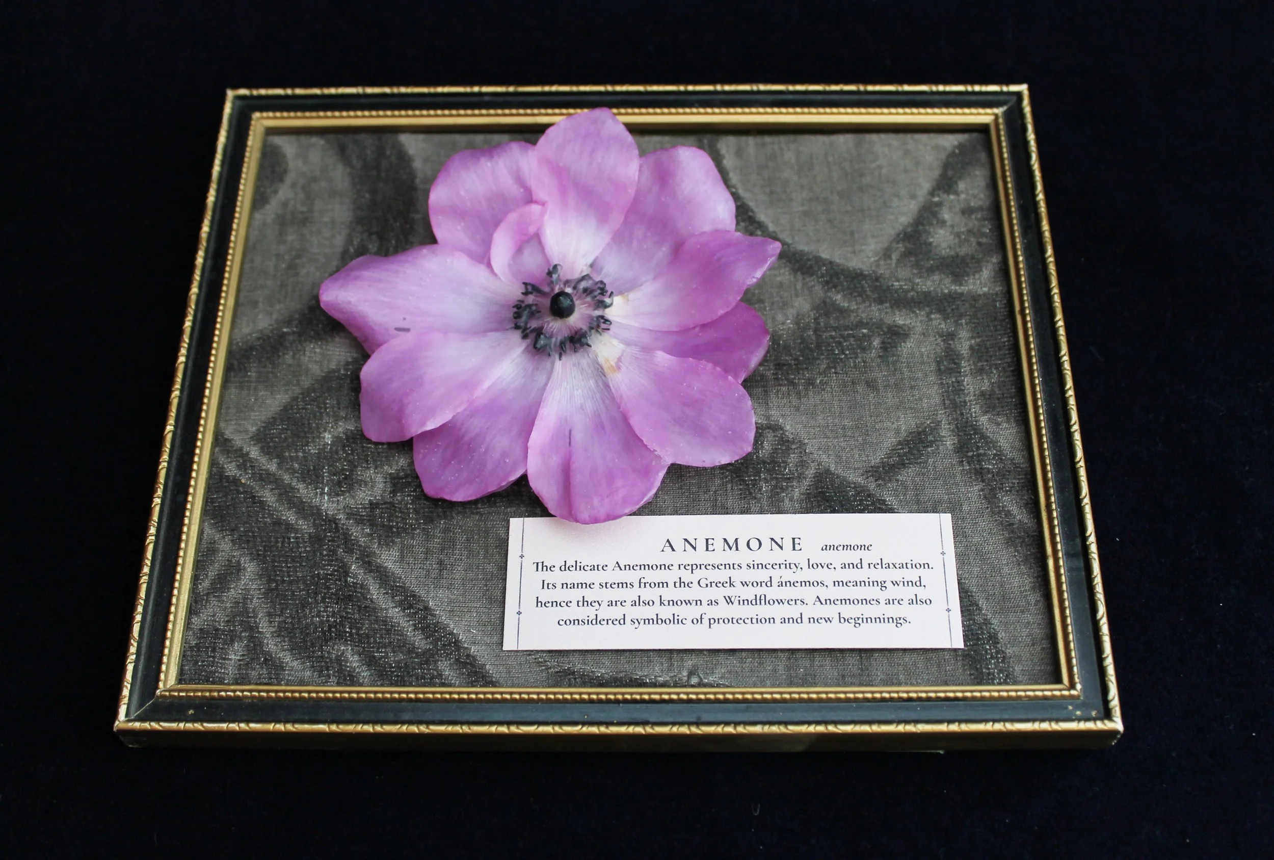 Large Pink Anemone Brooch 2.jpg