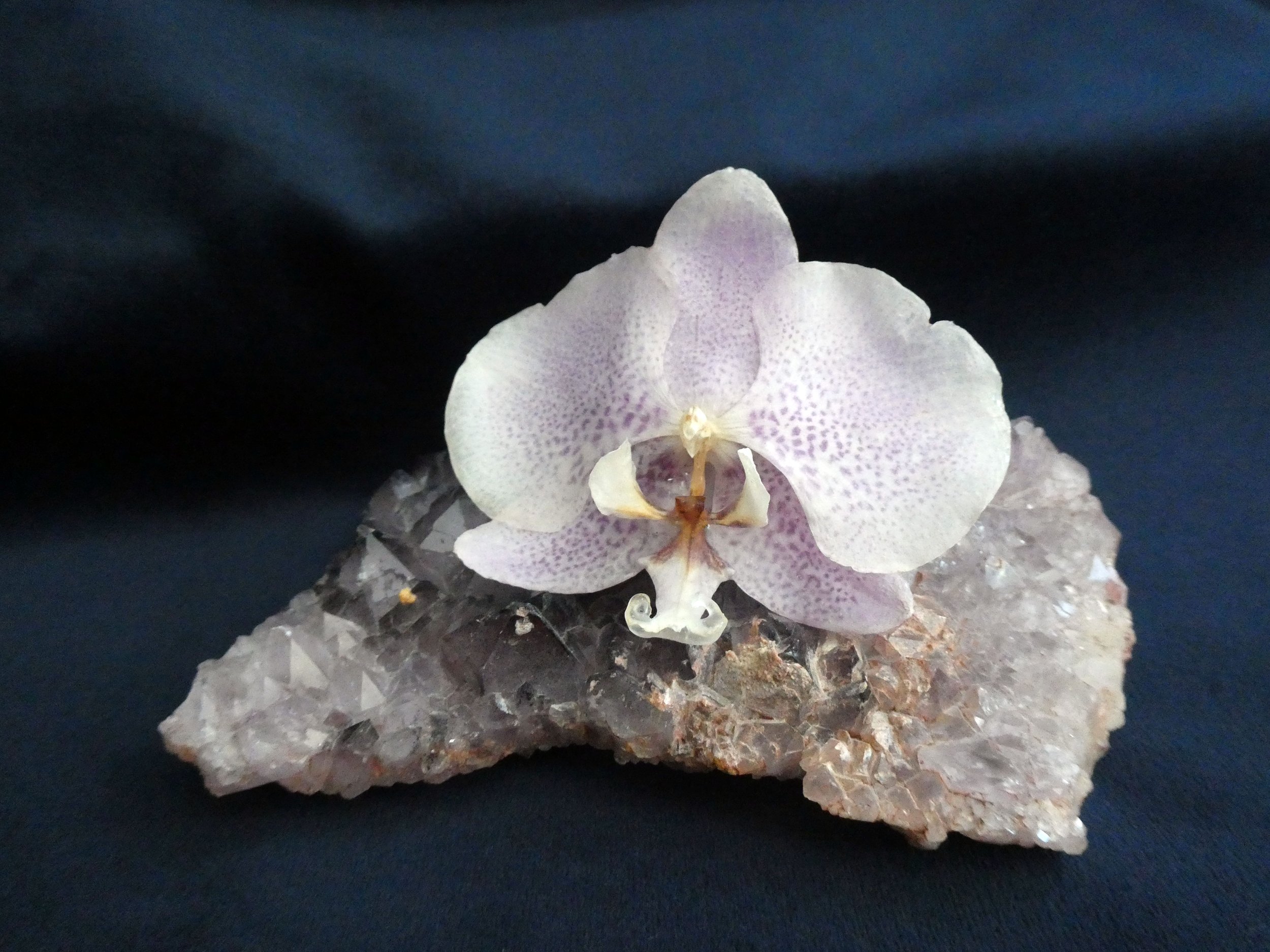 orchid on crystal large brooch.jpg
