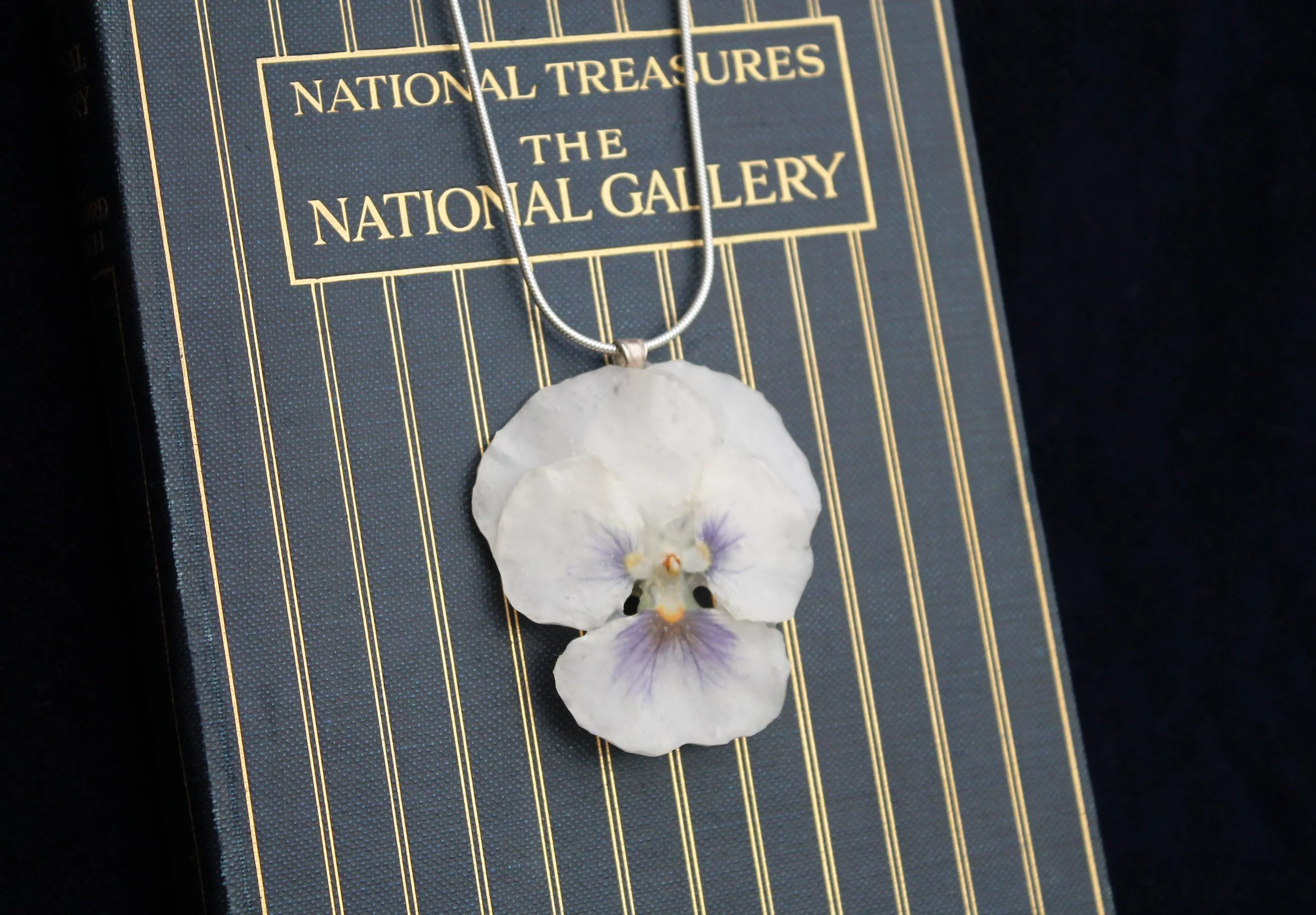 large white pansy 3.jpg