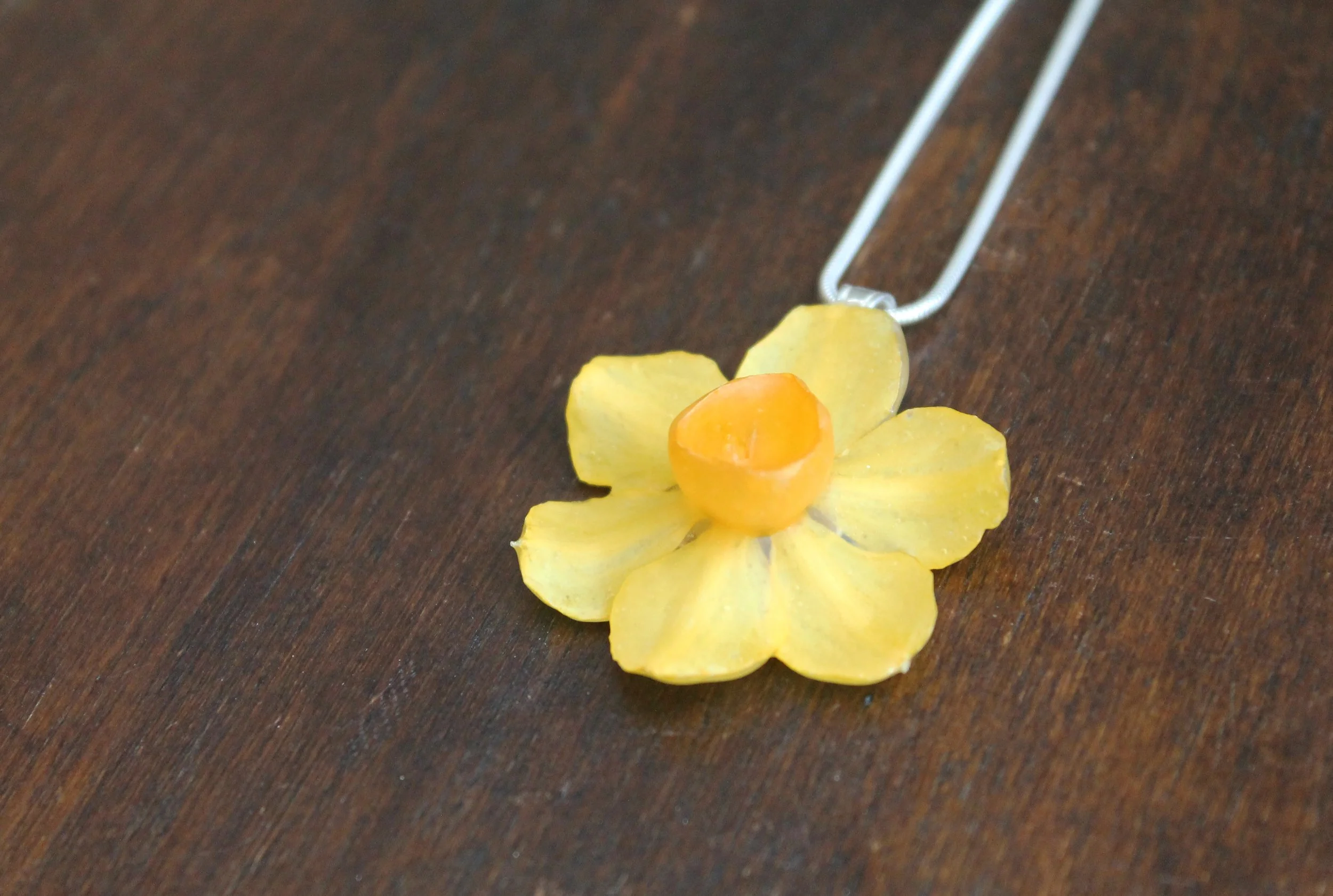 Miniature Daffodil side view.jpg