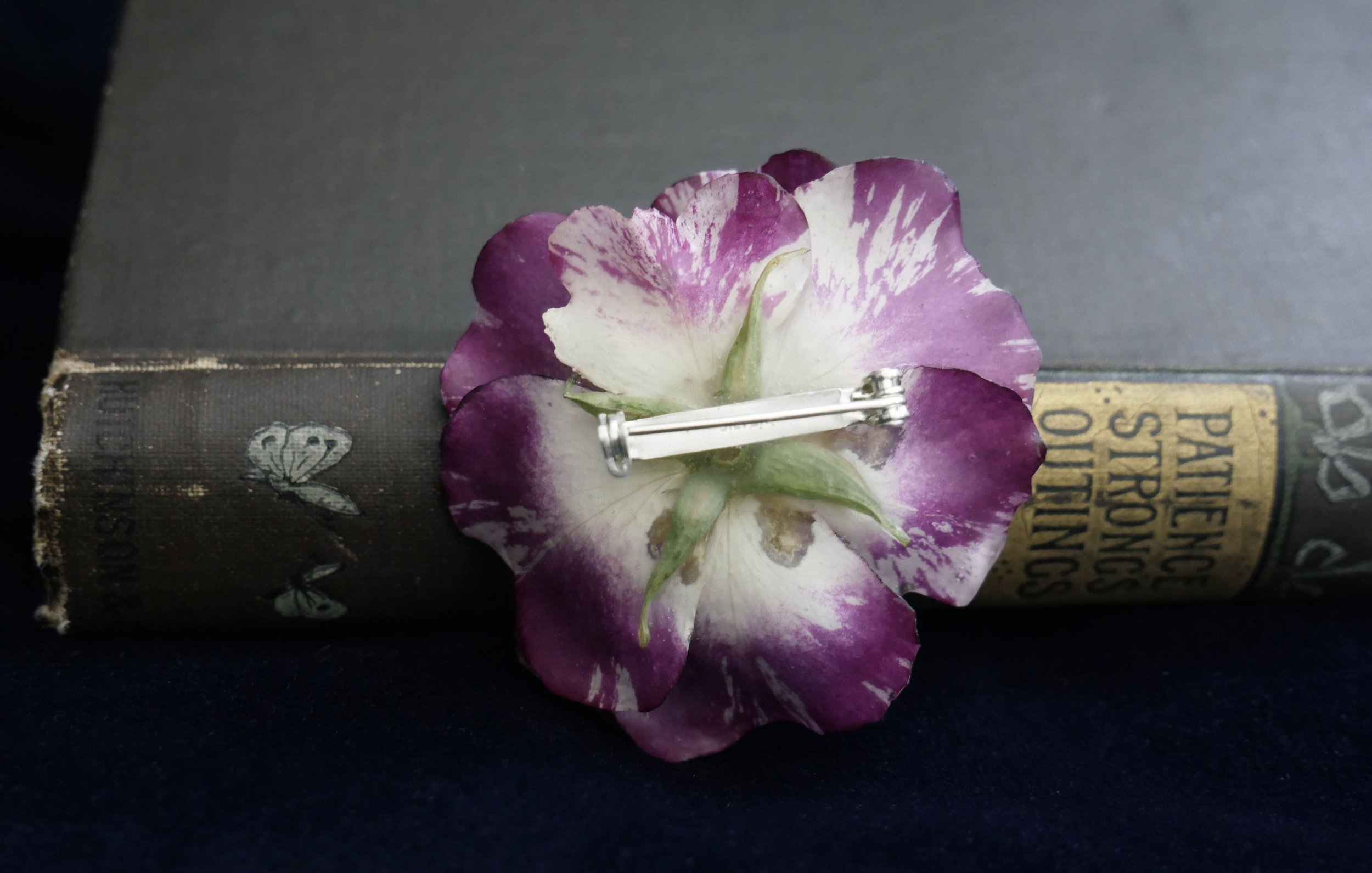 Rose back with book 4 .jpg
