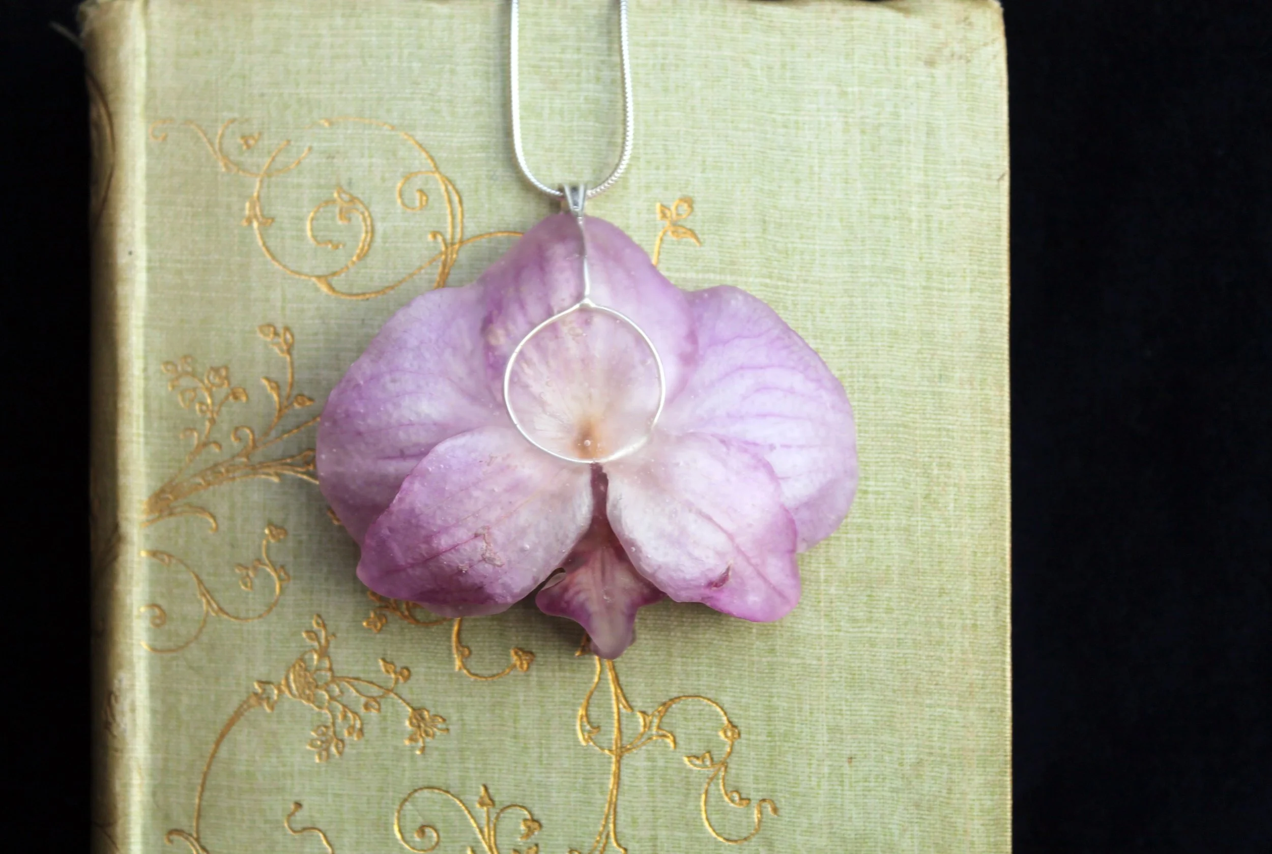 Orchid on book back 4.jpg