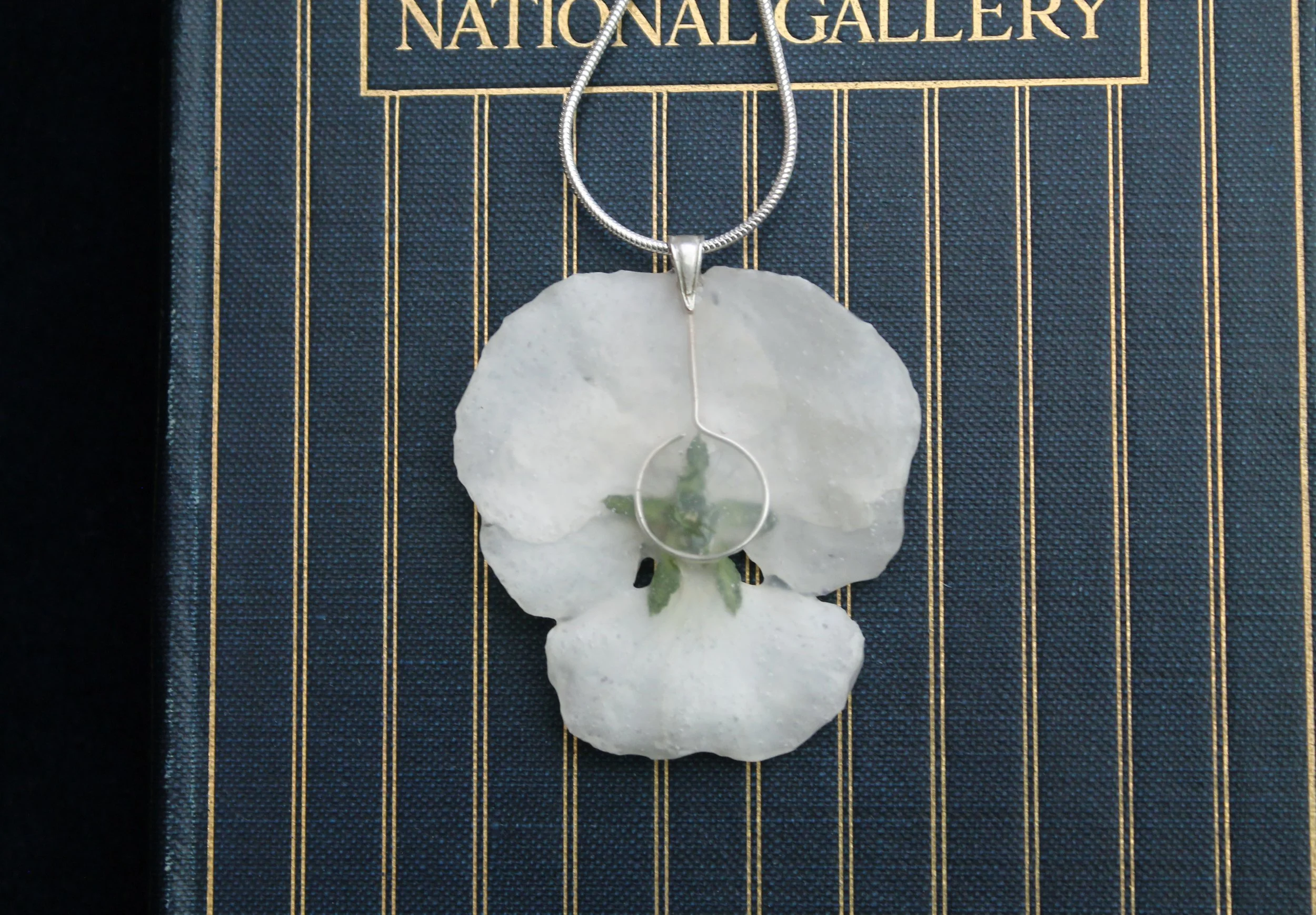Large white pansy 5.jpg