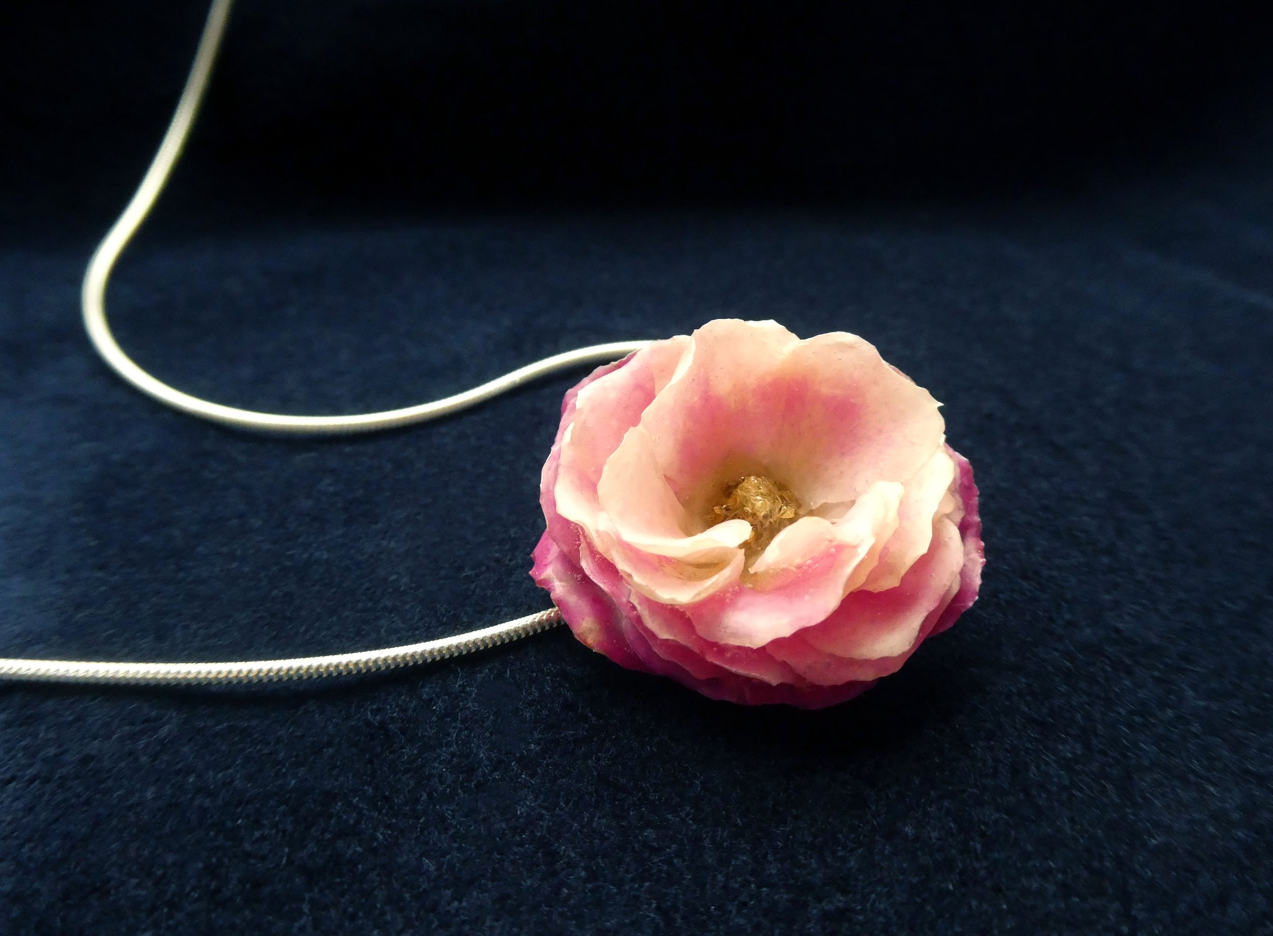 Miniature Frilly Rose 2.jpg
