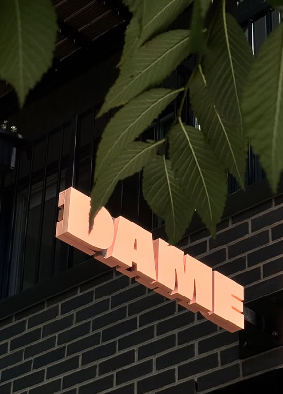 Dame-hero Image