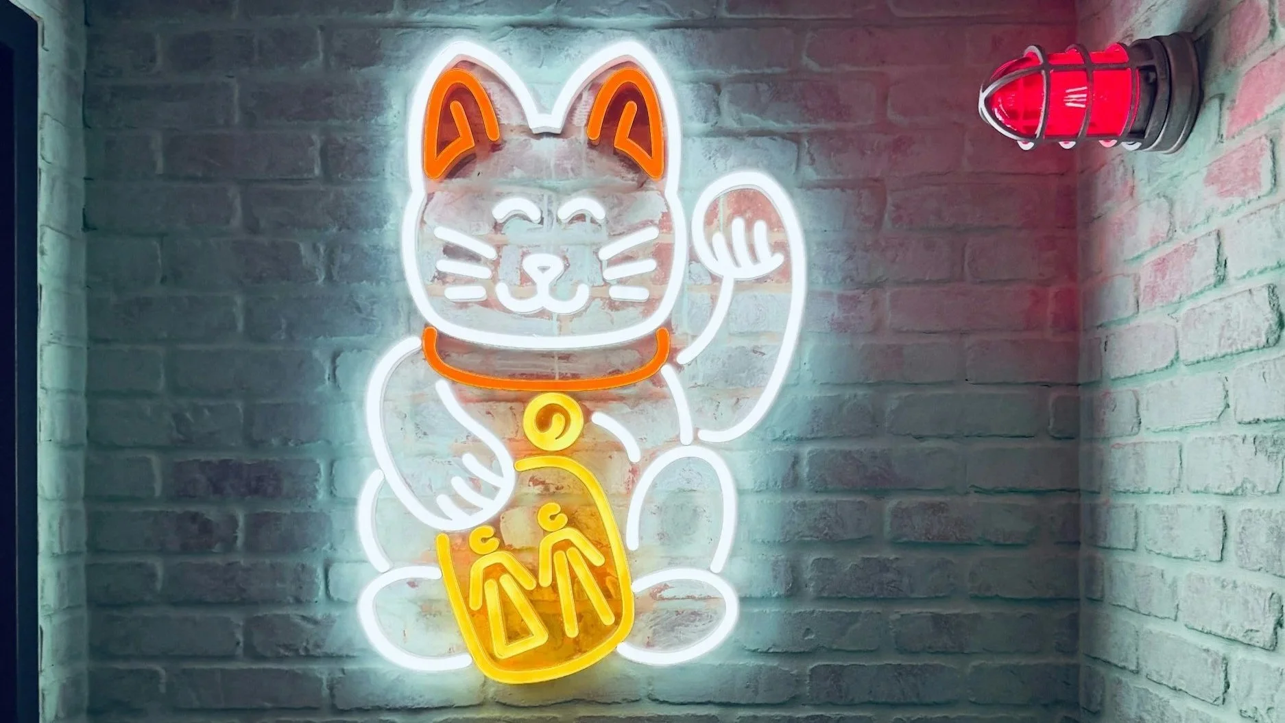 A neon cat sign highlighting accessibility