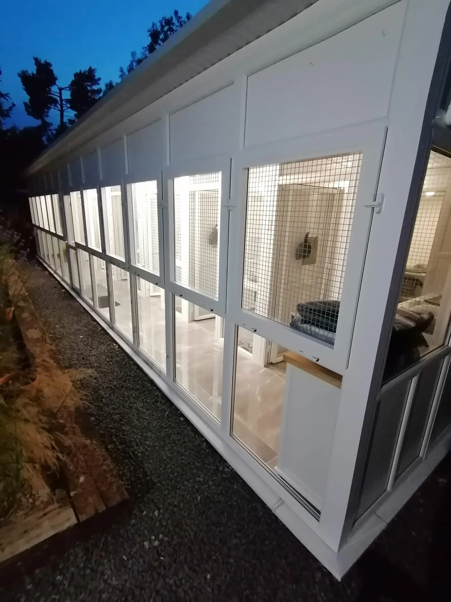 cattery-at-night