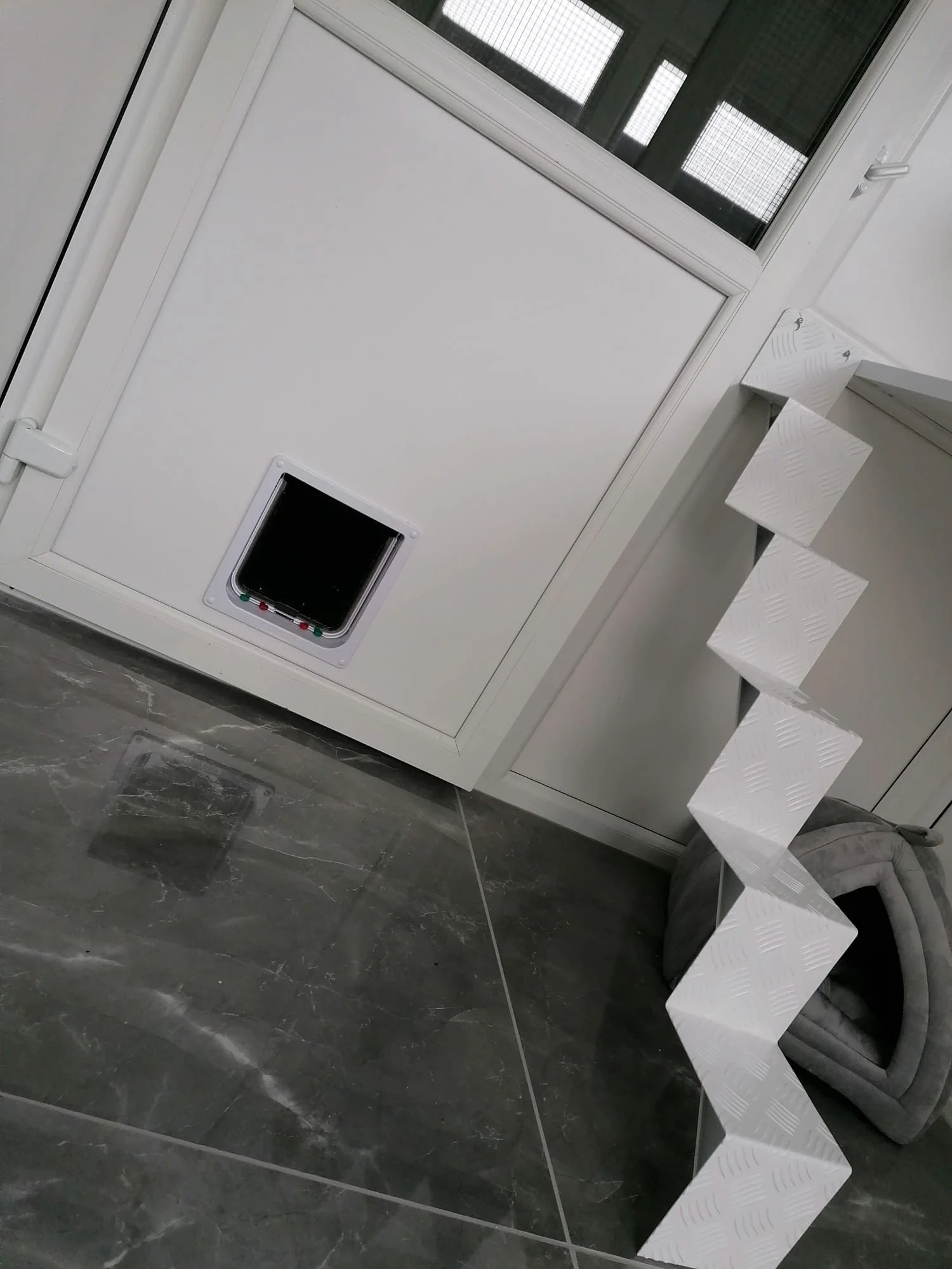 cat-ramp