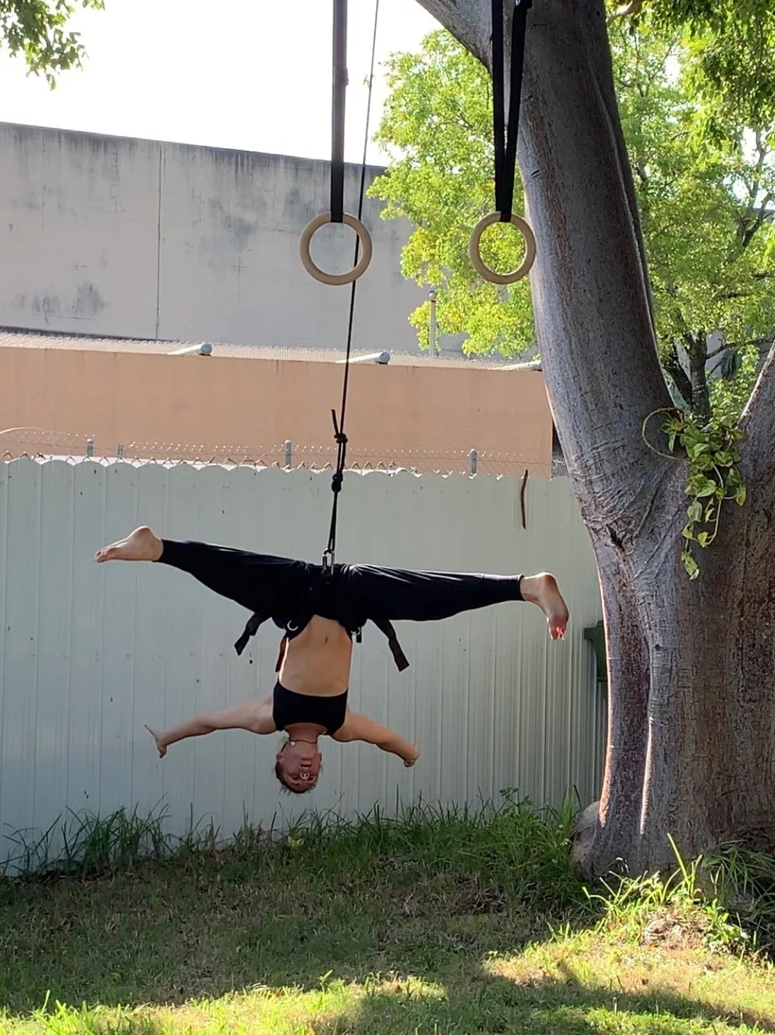 Teatro Salvaje - Miami, FL 