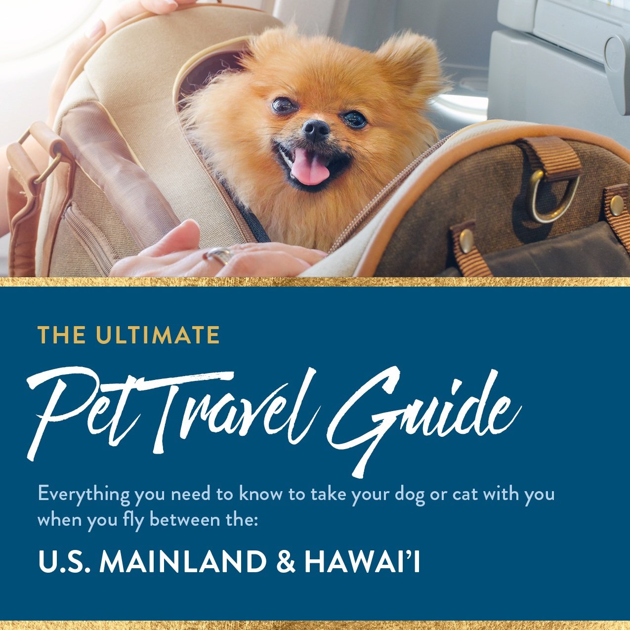 SPT+Hawaii+Travel+Guide.jpg