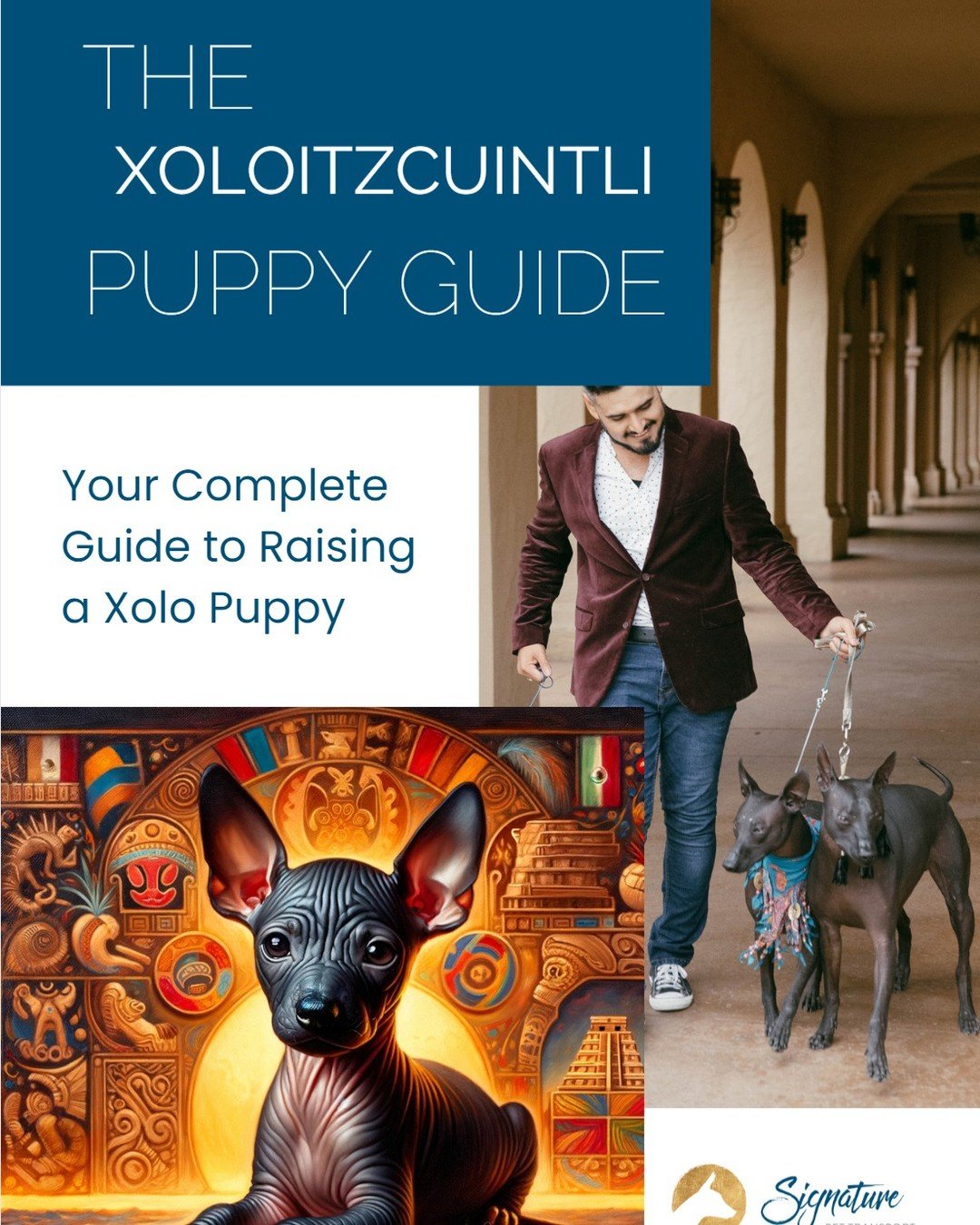🌟 Discover the World of Xoloitzcuintli 🌟

🐾 Embark on an enchanting journey with &quot;The Xoloitzcuintli Puppy Guide: Your Complete Guide to Raising a Xolo Puppy,&quot; your ultimate guide to understanding and nurturing one of the most ancient an