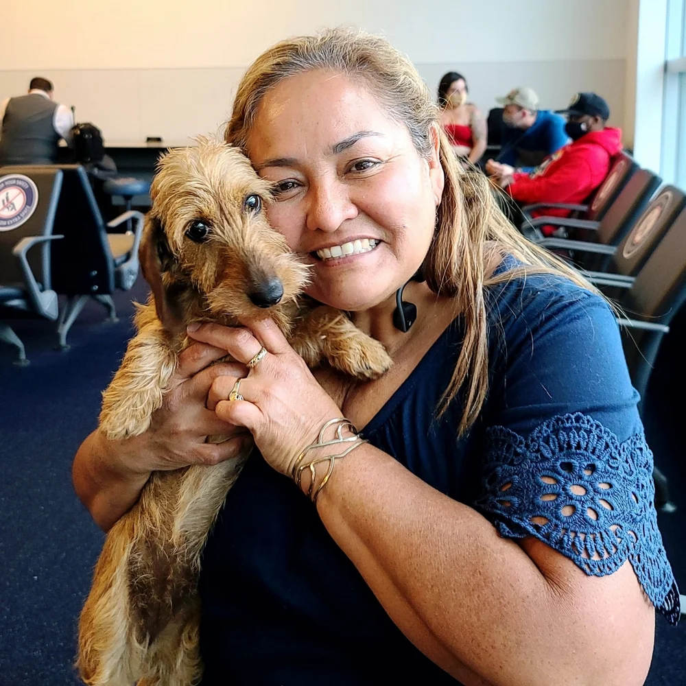 Signature Pet Transport