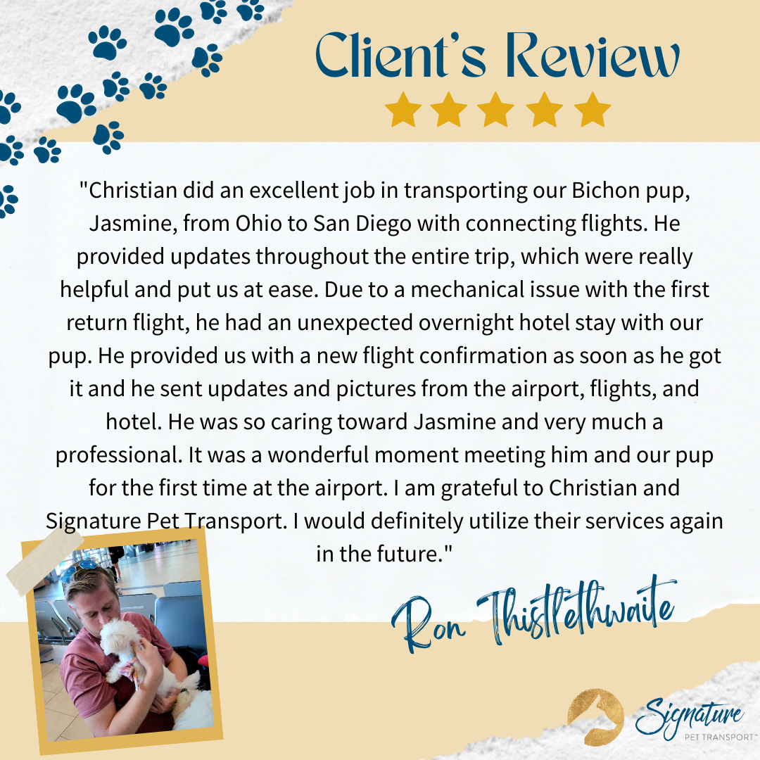 pet in cabin air transport client review