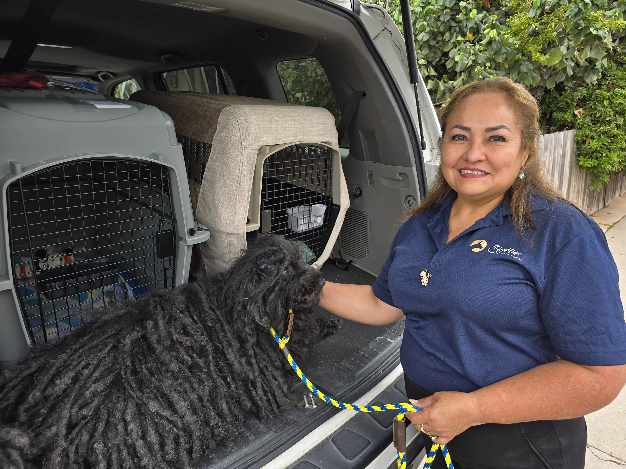 Professional Pet Transport Secrets: How to Prepare Your Dog (or Cat!) for Car Travel