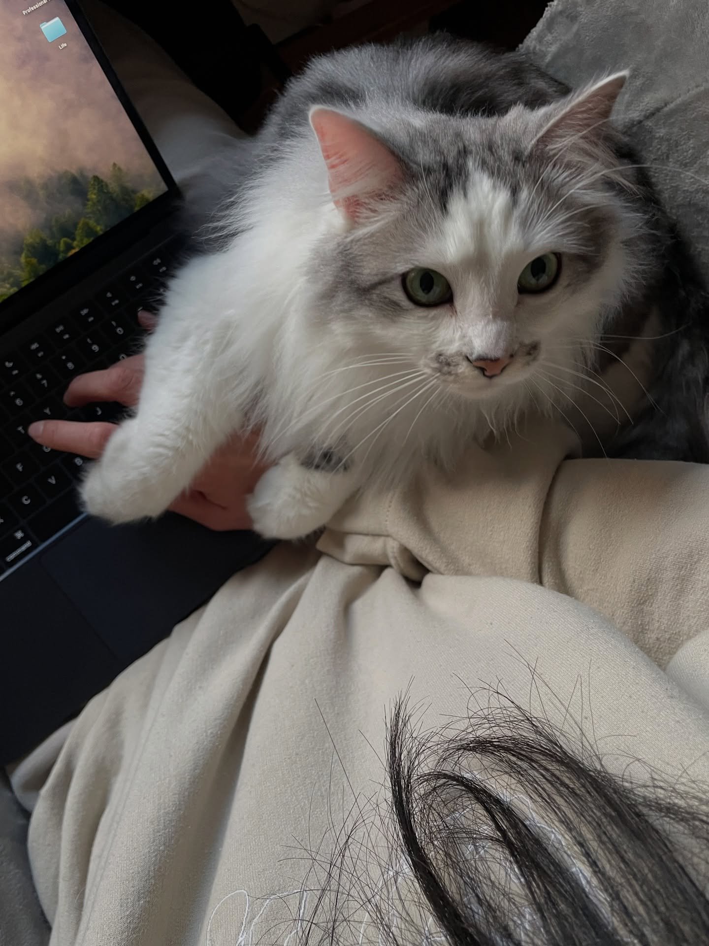 Tell me, how do I do notes when my co-therapist is being this cute?🥰 

&mdash;

🌟 Reach out for a consult

Disclaimer: While I&rsquo;m a therapist, this page isn&rsquo;t therapy. The content here is meant to support and inspire, but it&rsquo;s not 
