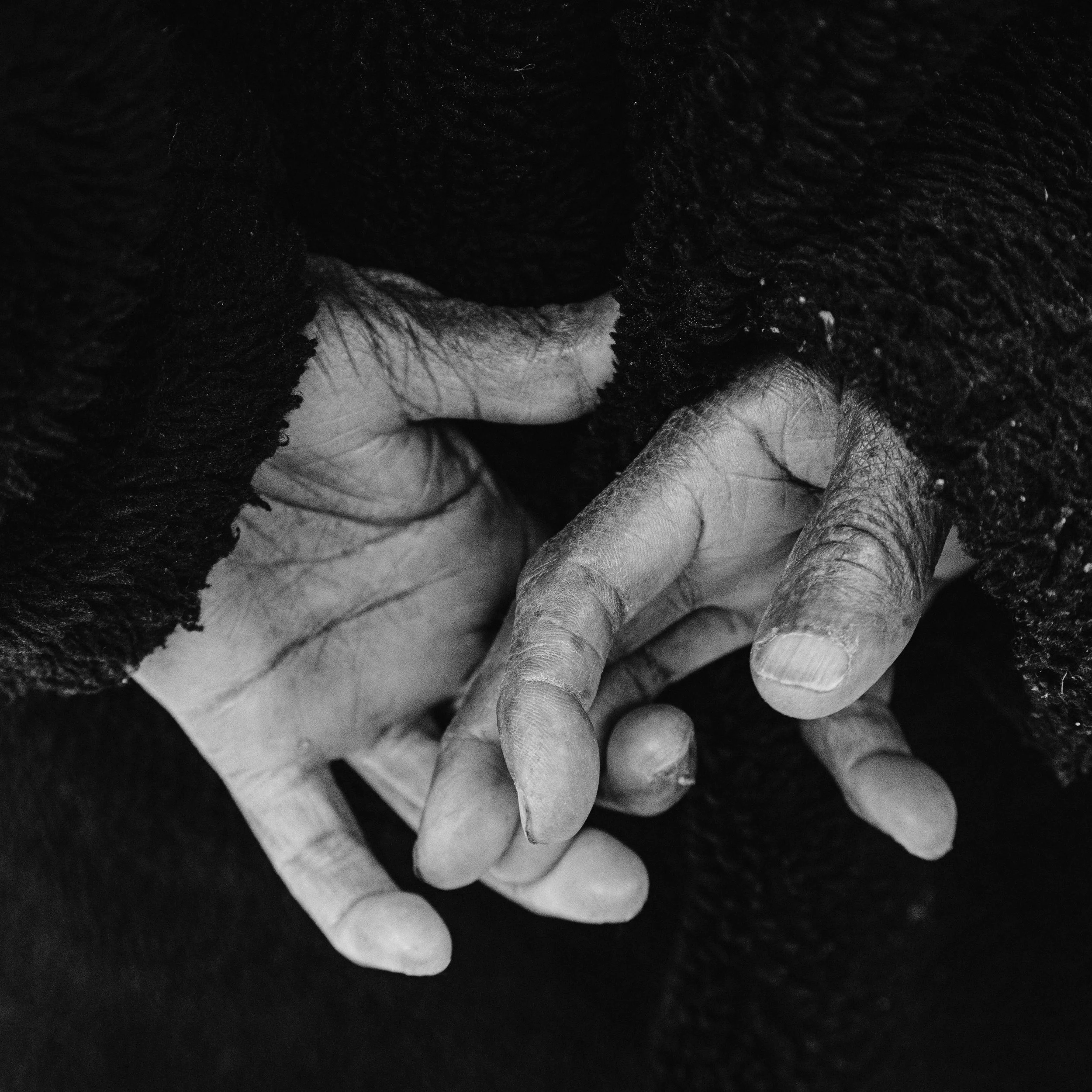 My grandmother's hands — Buffalo, NY