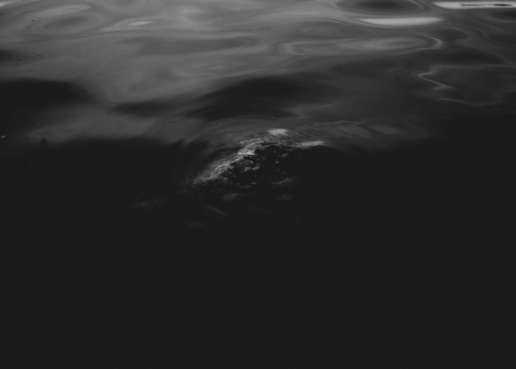 TSW0-Photos-1.jpg