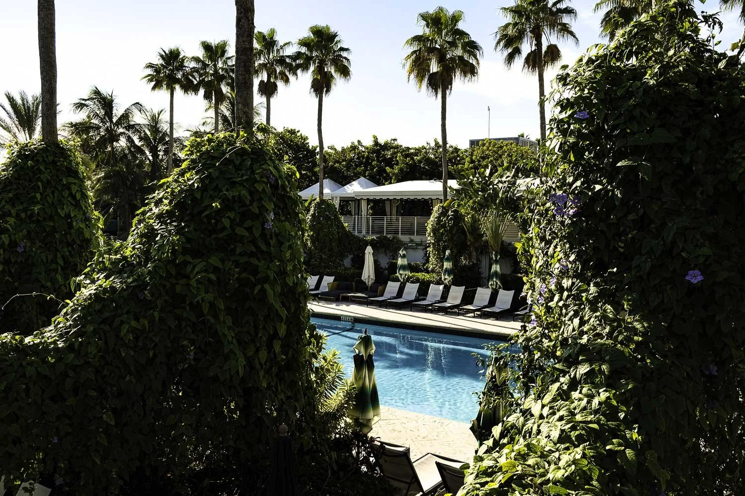 Kimpton Surfcomber Miami Review: Sun, Sand, and Style